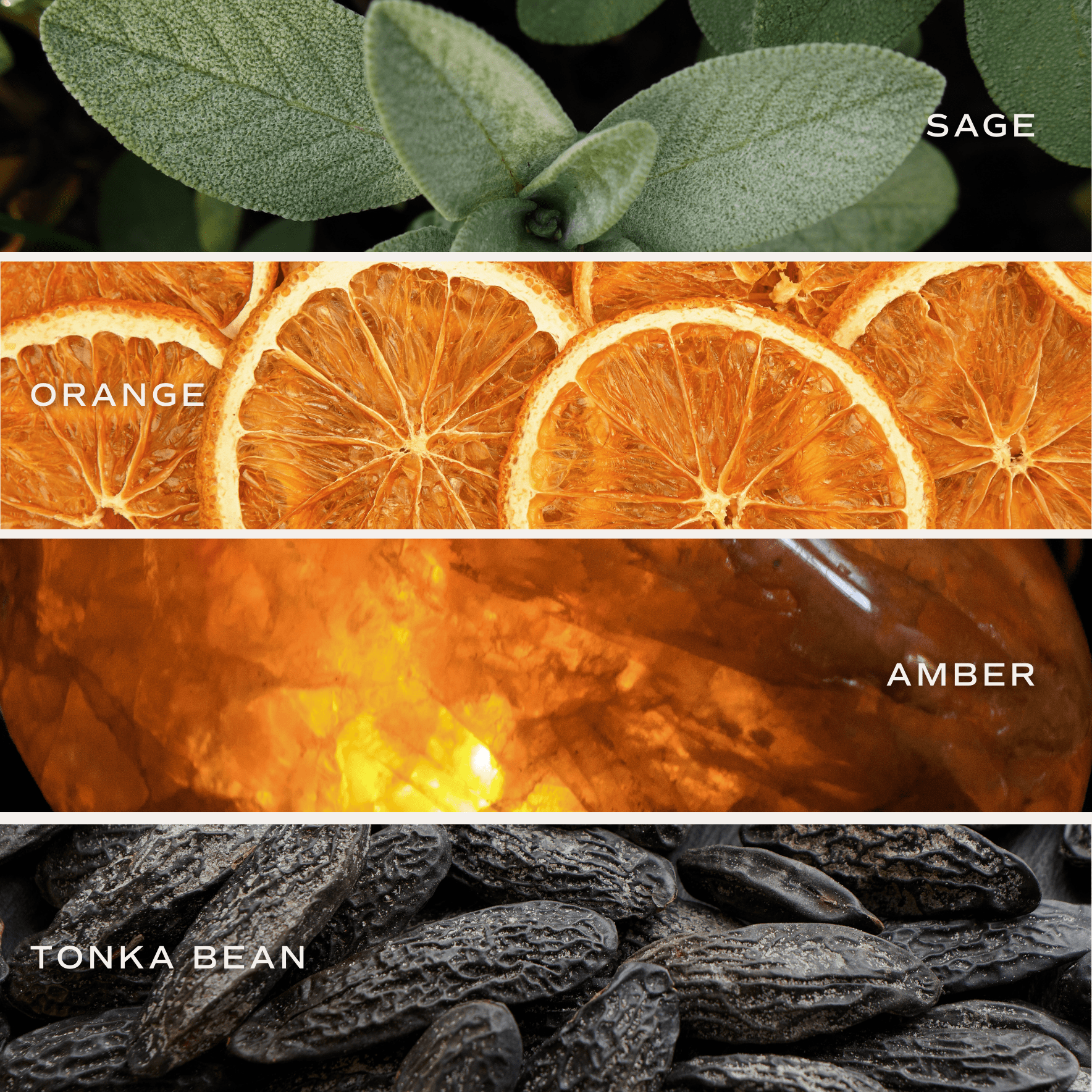 Weekend Soy Candle (11oz White Jar)