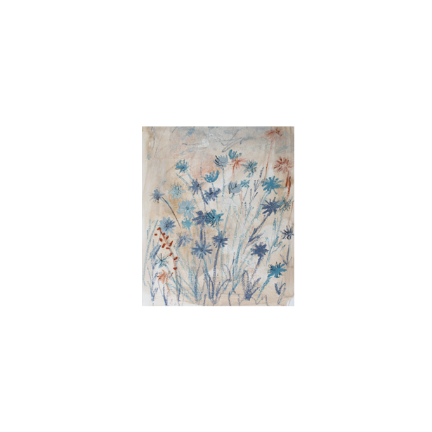 Chicory on Ash | Canvas