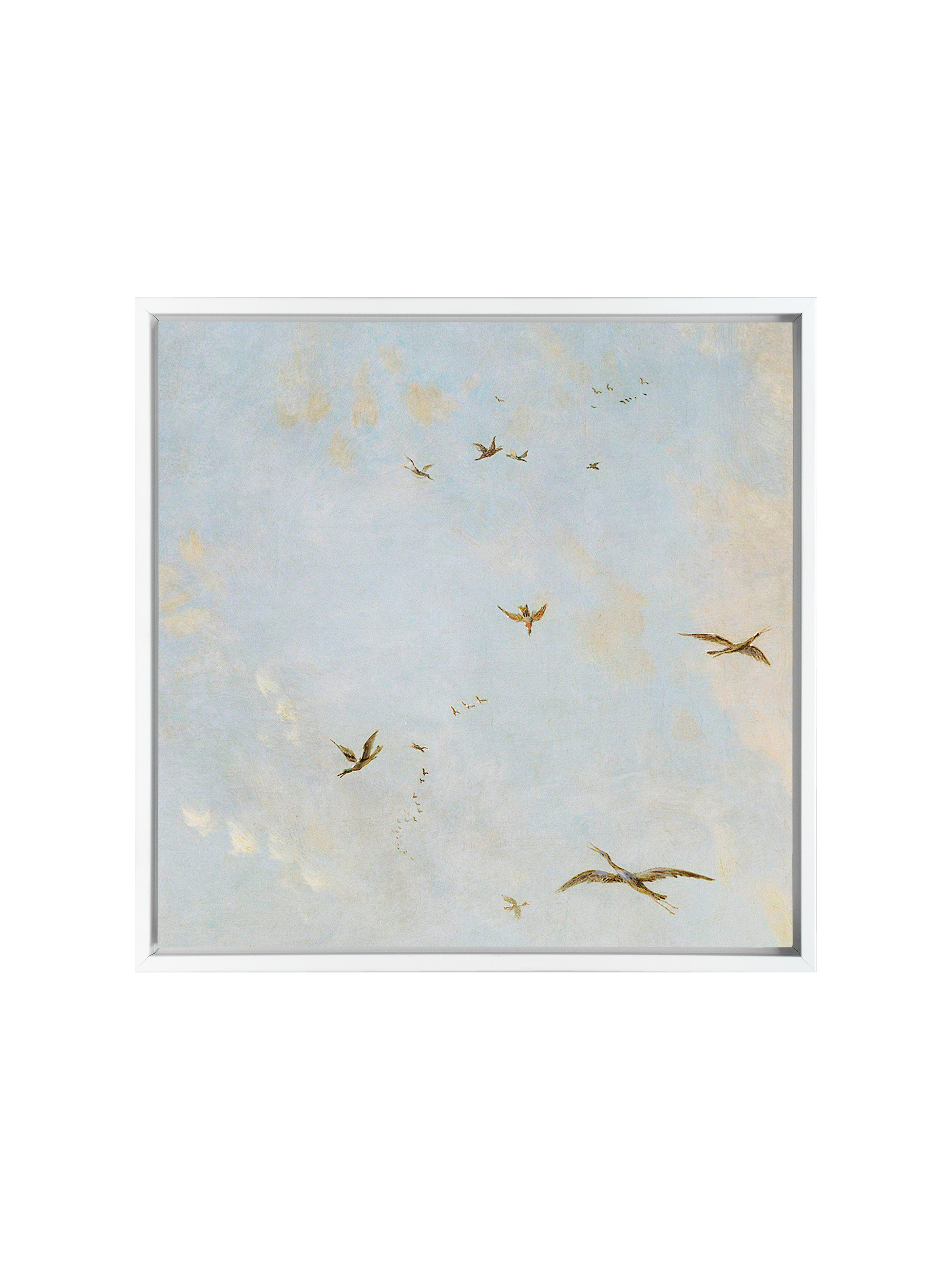 Birds of a Feather | Canvas