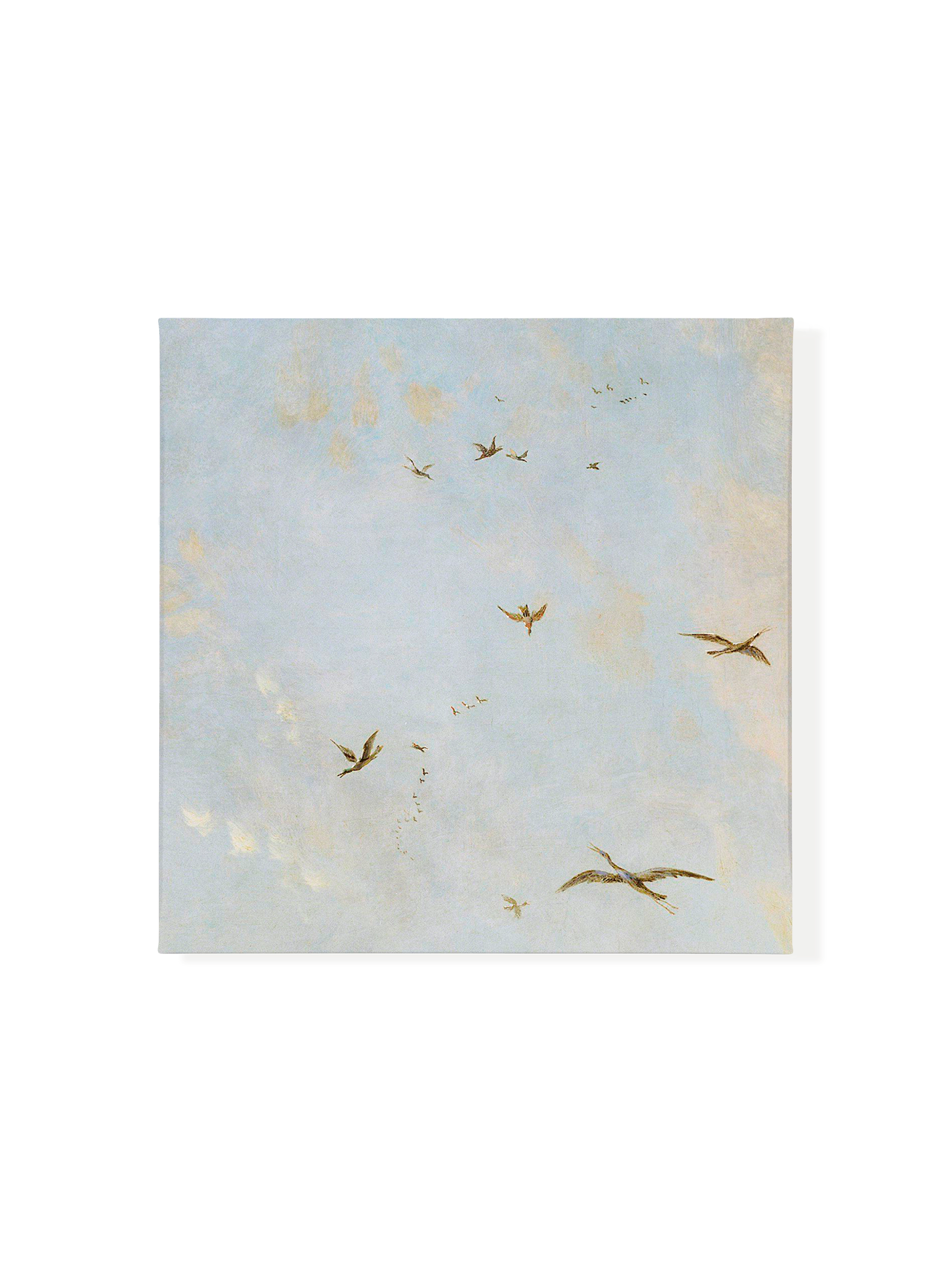 Birds of a Feather | Canvas