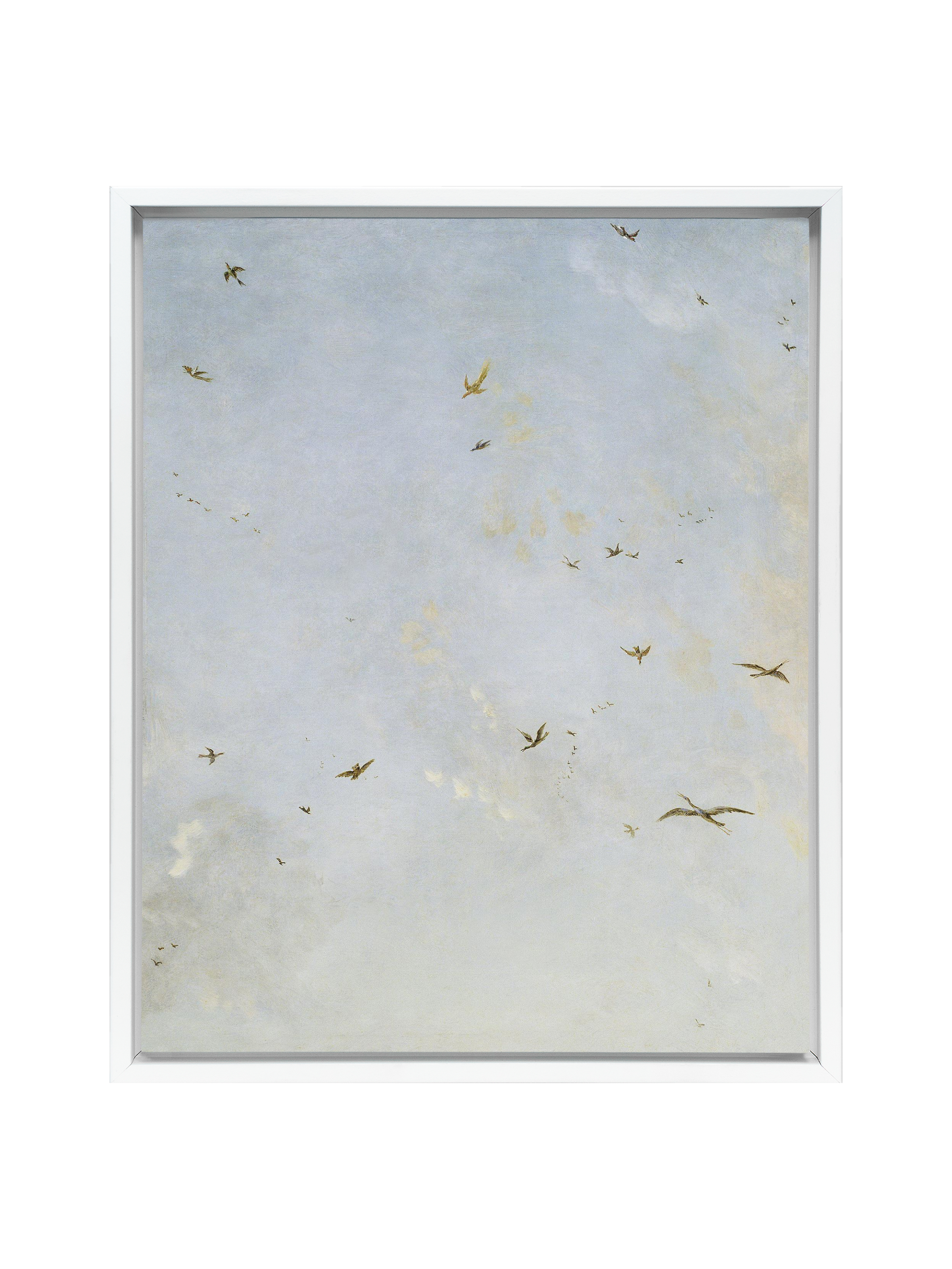 Birds of a Feather | Canvas (Square)