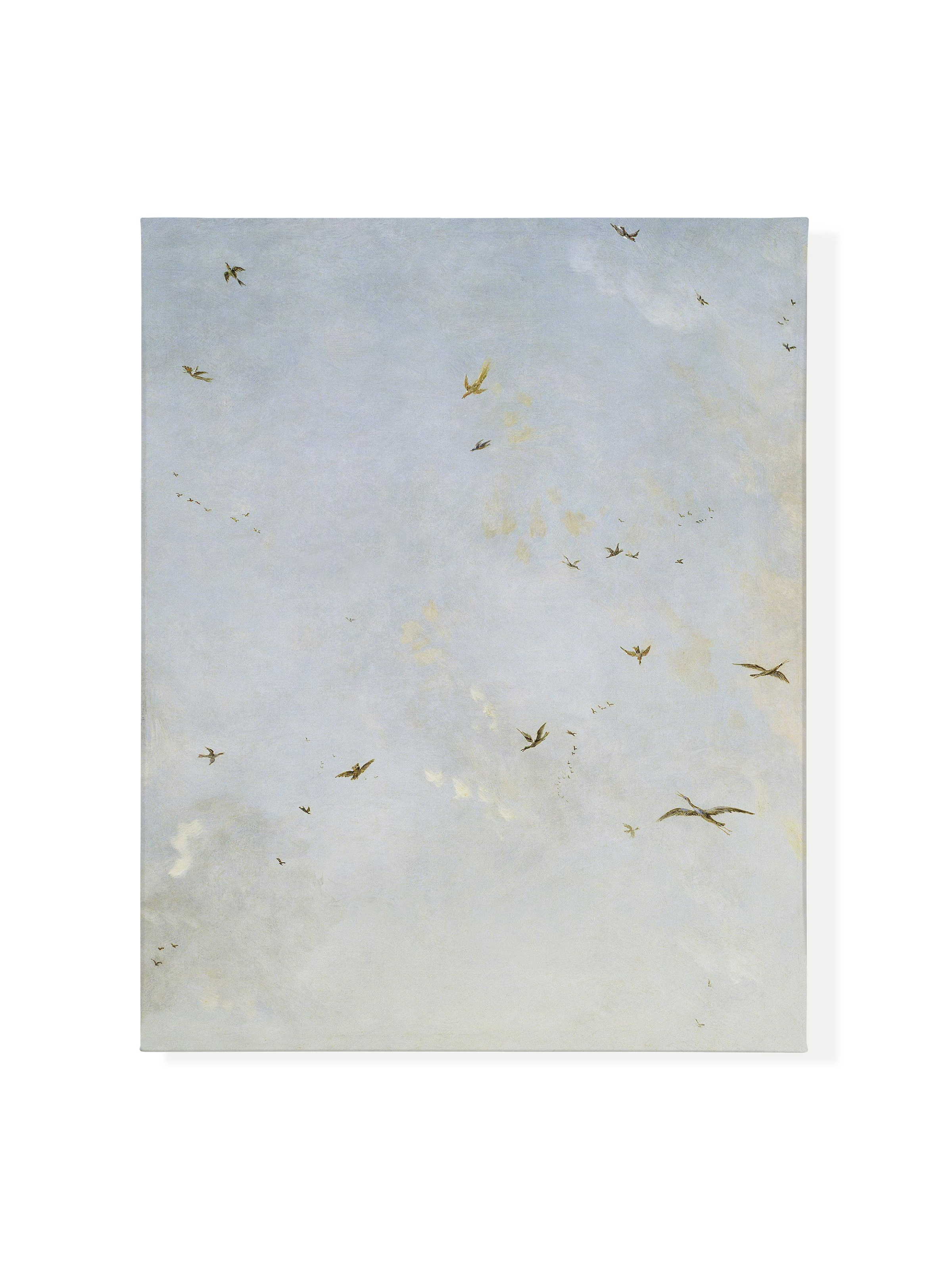 Birds of a Feather | Canvas (Square)