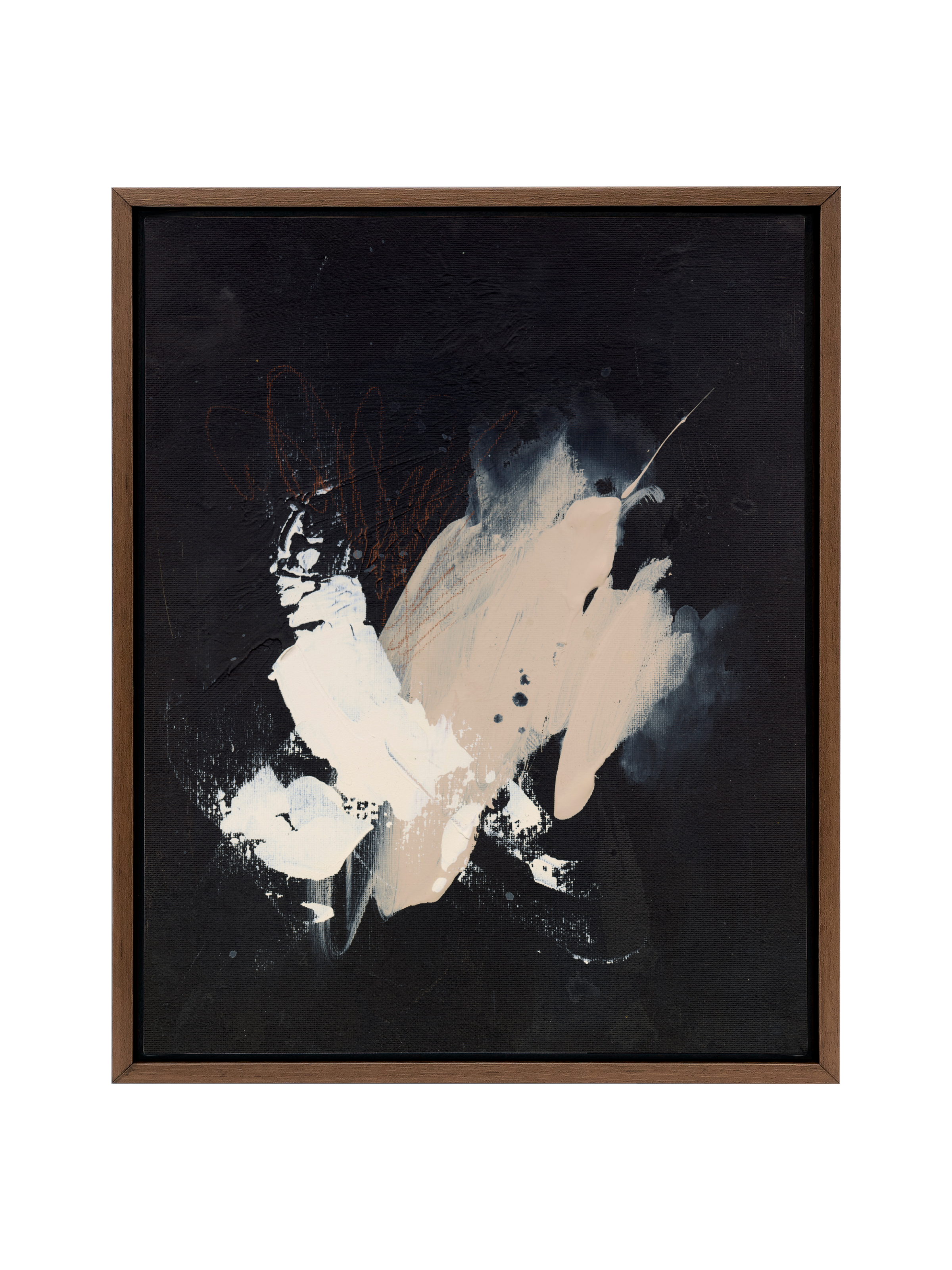 Black Sesame | Canvas