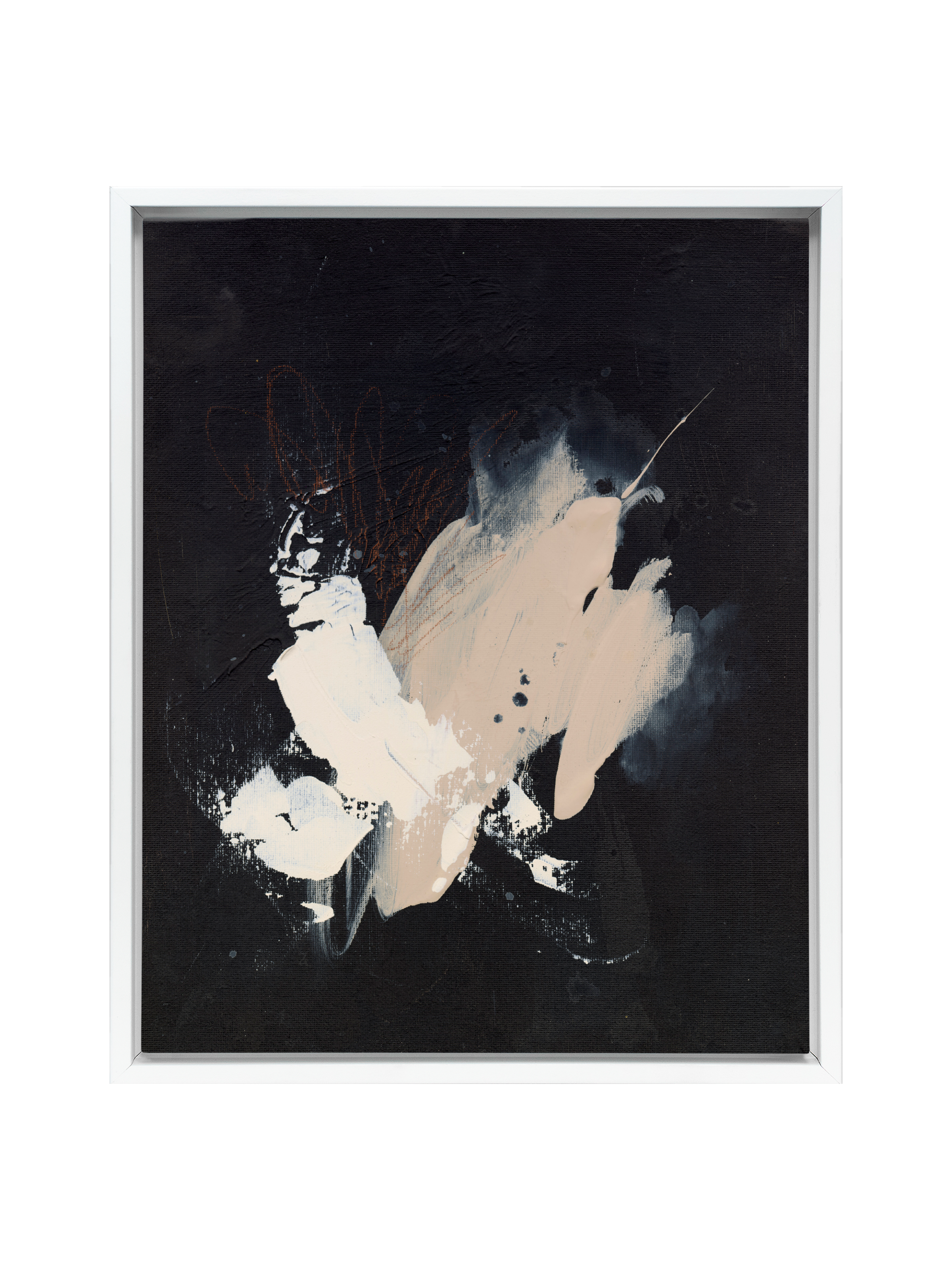 Black Sesame | Canvas