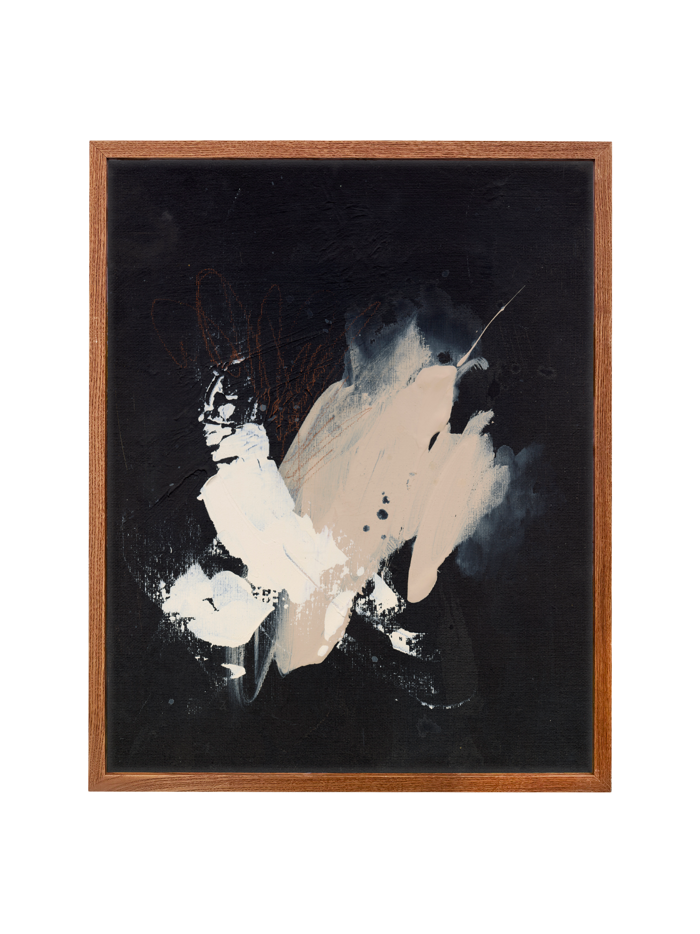 Black Sesame | Canvas