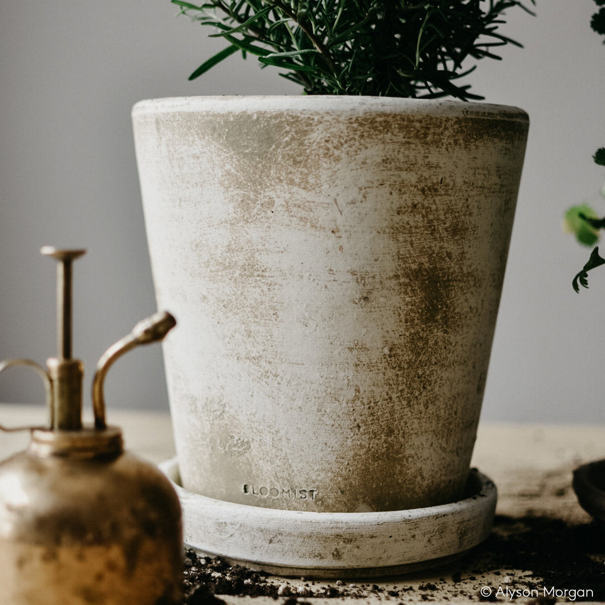 Basic Planter, White Patina