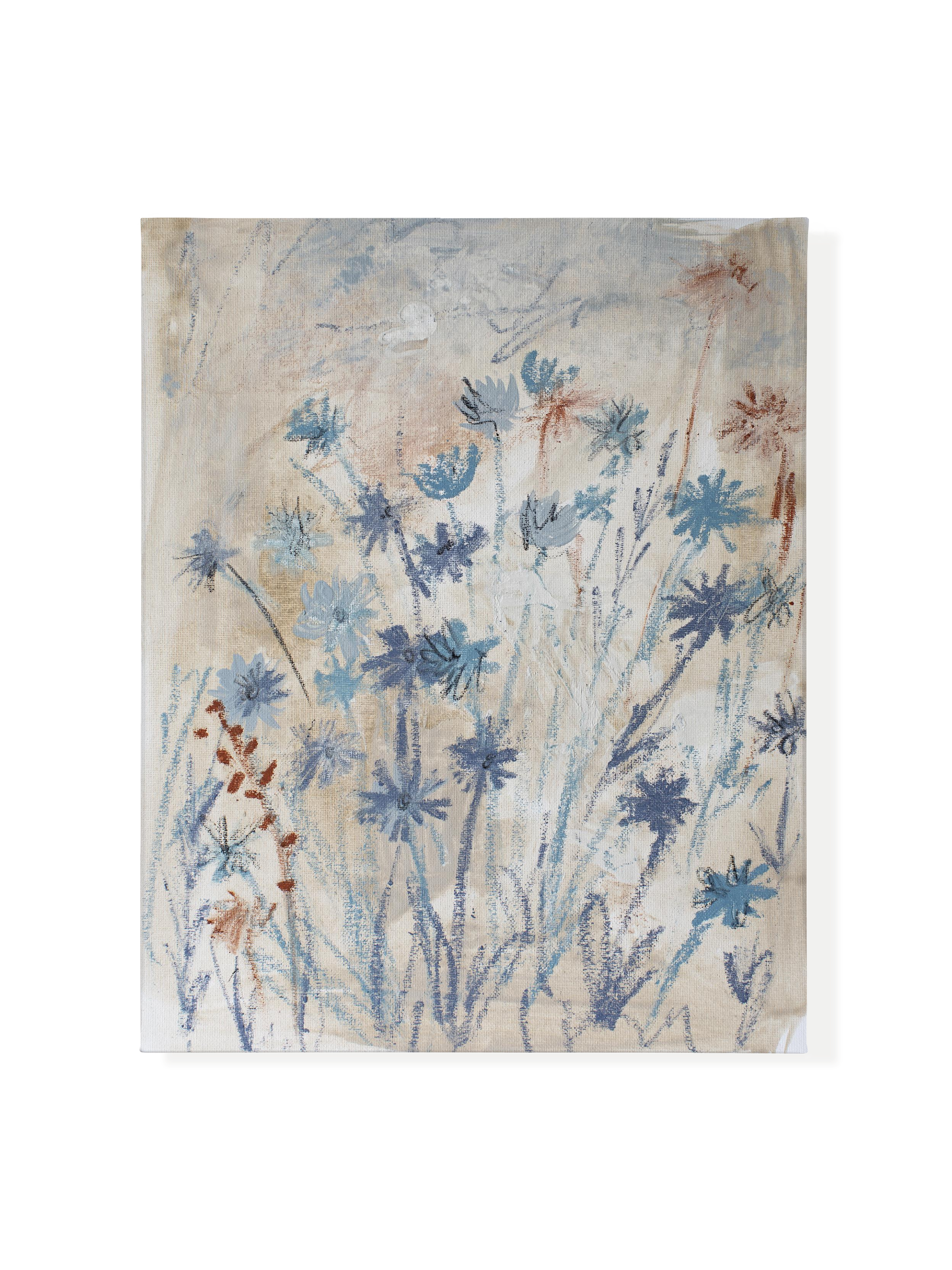 Chicory on Ash | Canvas