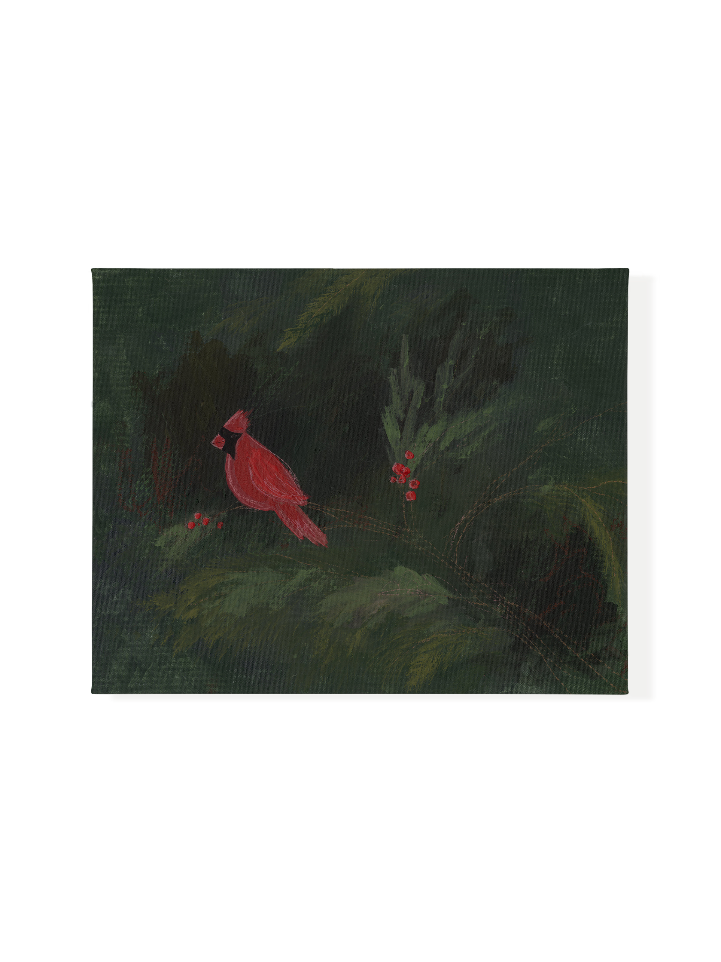 Christmas Cardinal | Canvas