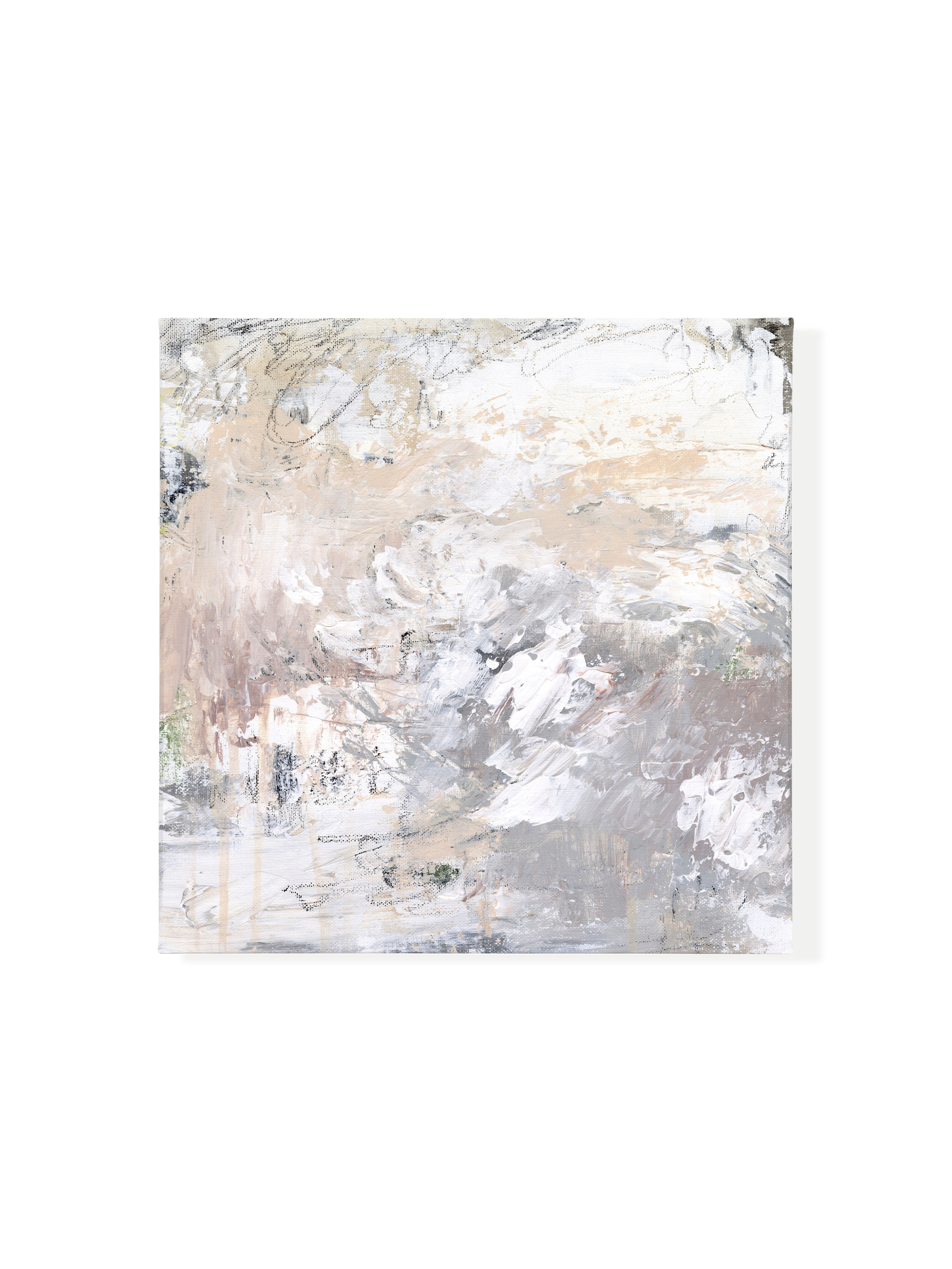 Desert Rose | Canvas