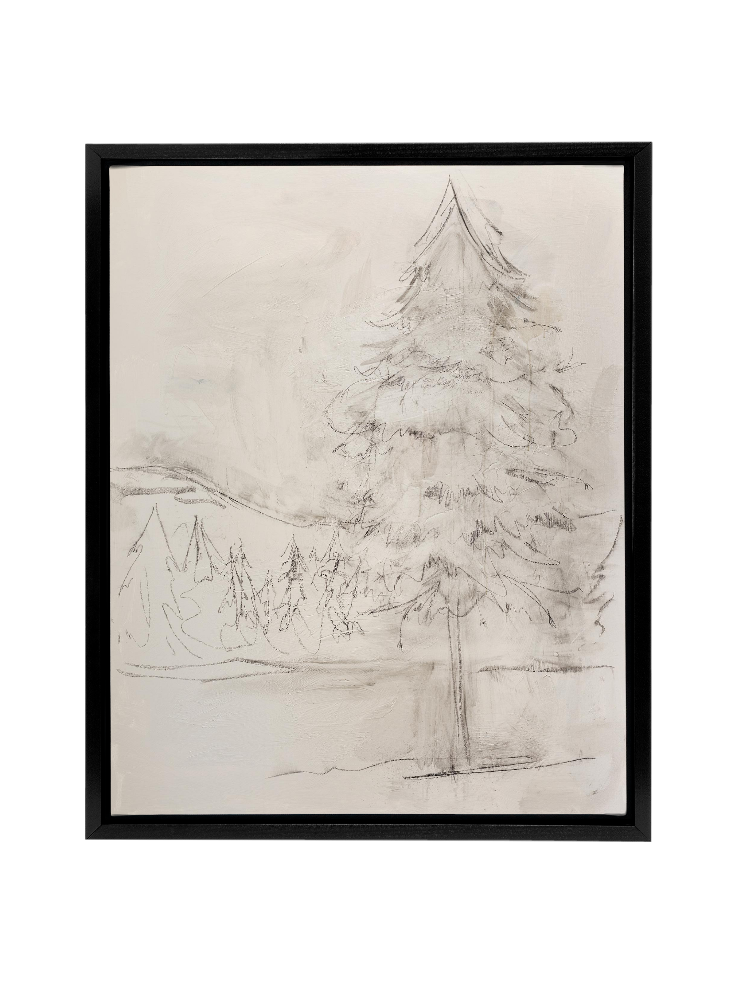 Evergreen | Canvas