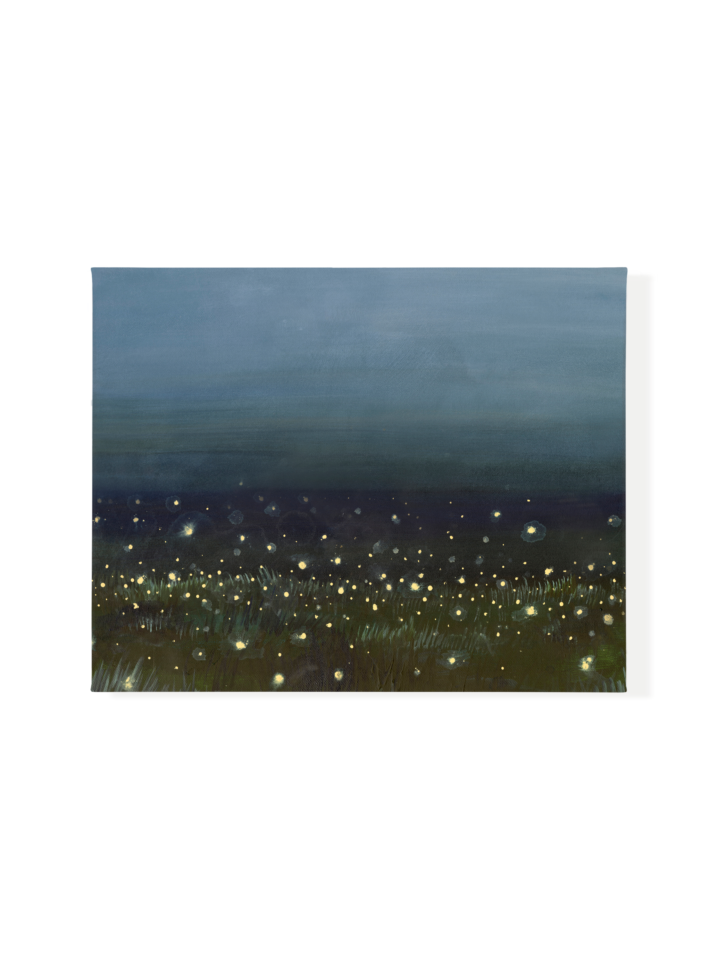 Firefly Field | Canvas