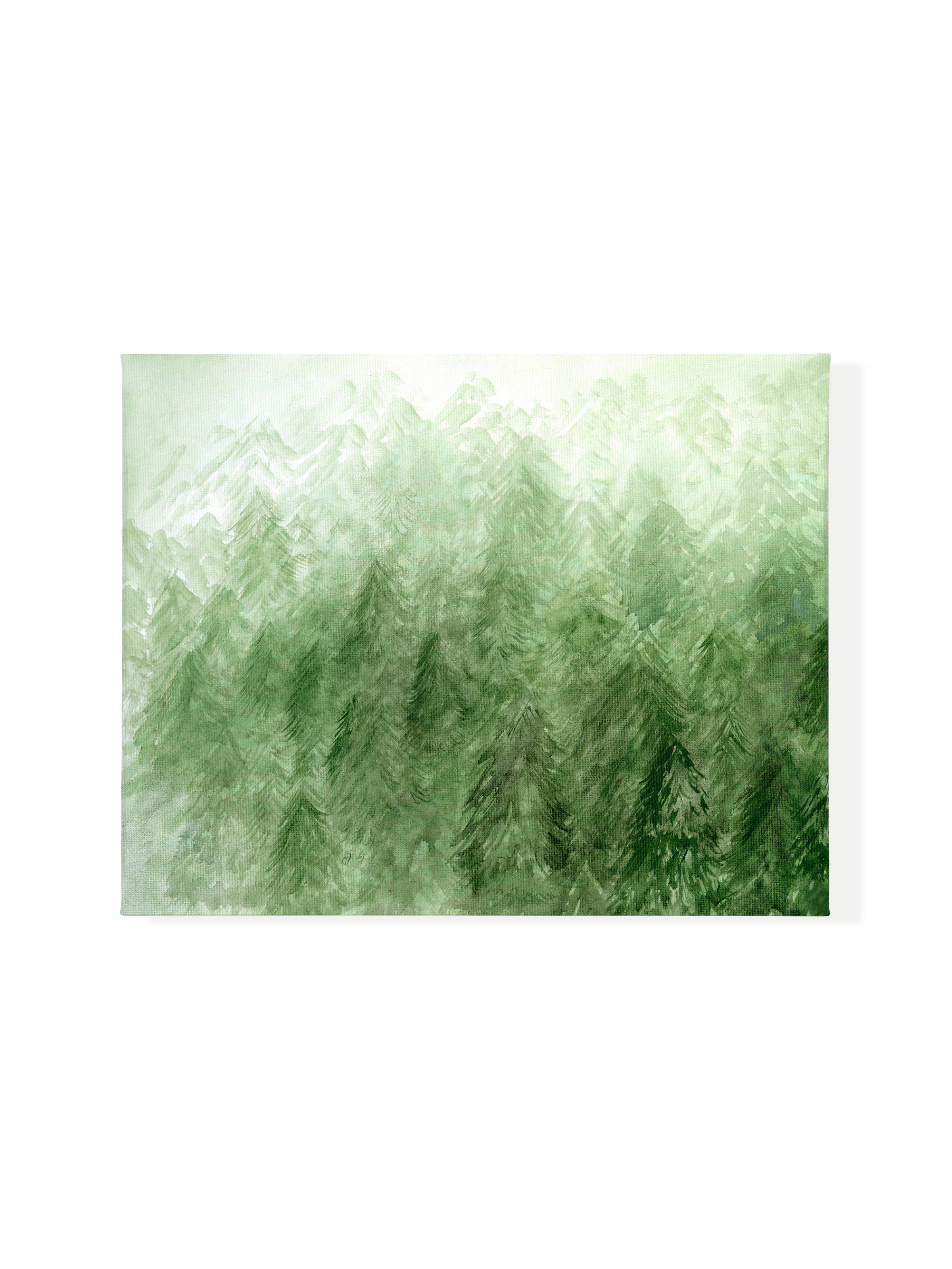 Foggy Forest | Canvas