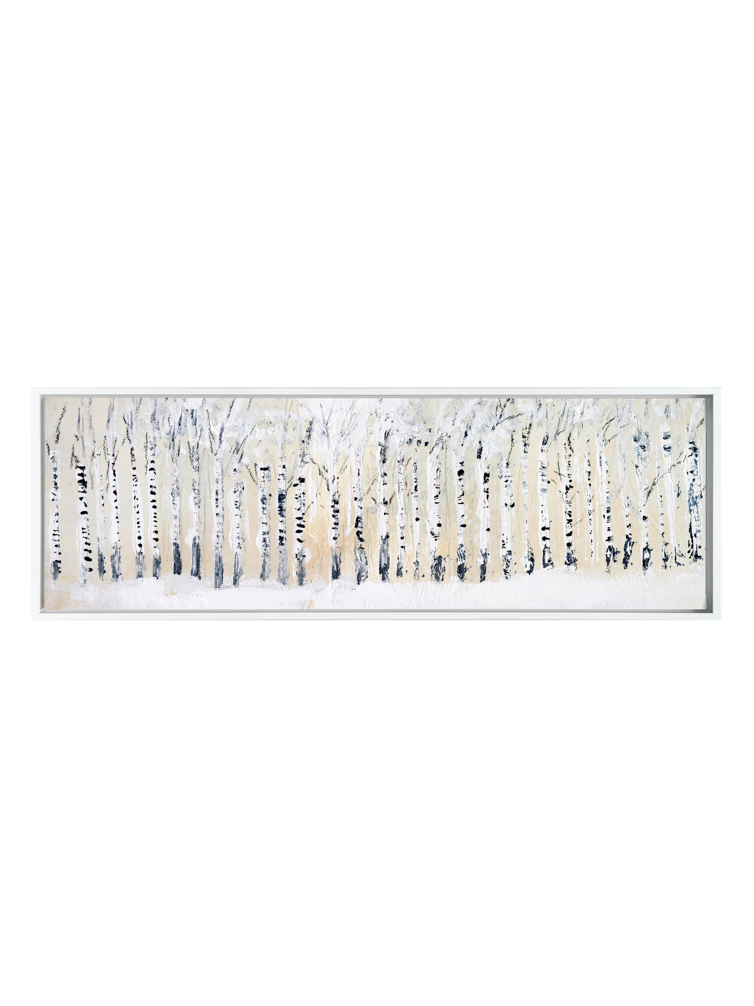 Glowing Birch | Canvas