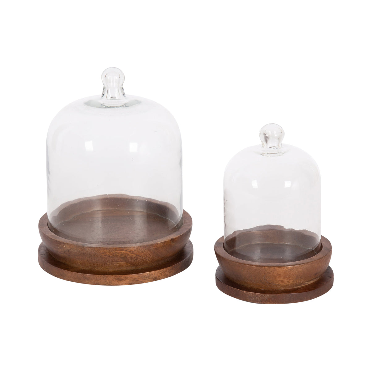 Claussen Wood and Glass Cloche 2 Piece Set