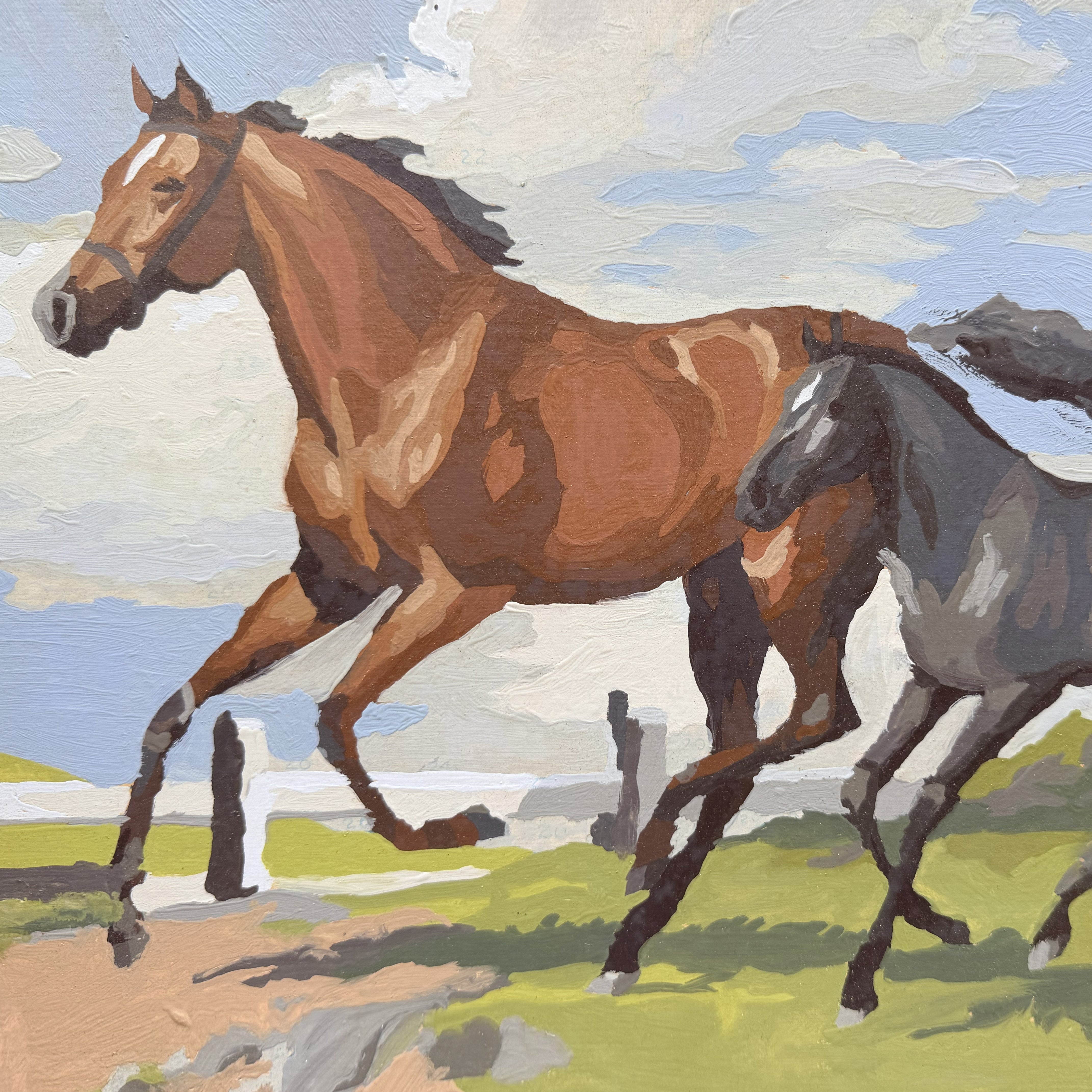 Horse and Foal Paint by Number Canvas Wall Art