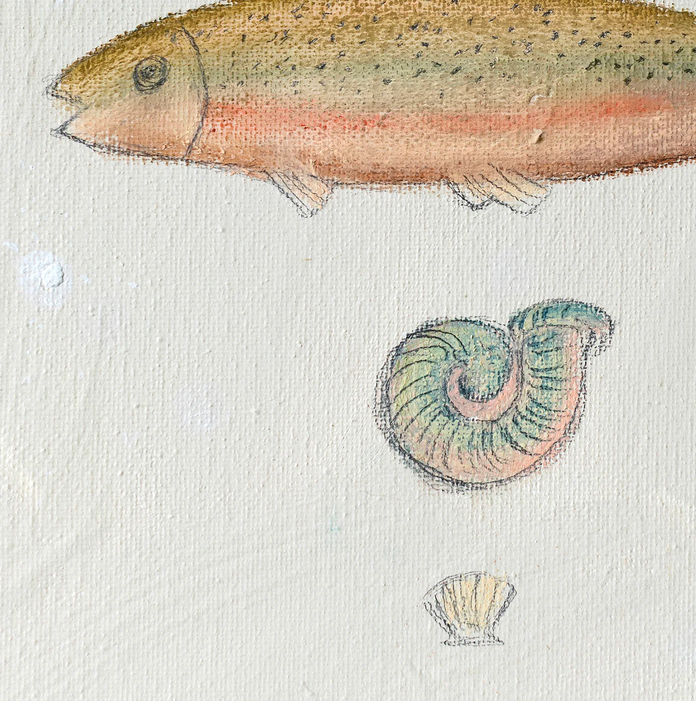 Rainbow Trout & Fossil Luxe Art Print
