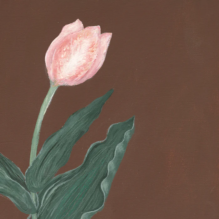 Pink Tulip Botanical Luxe Art Print