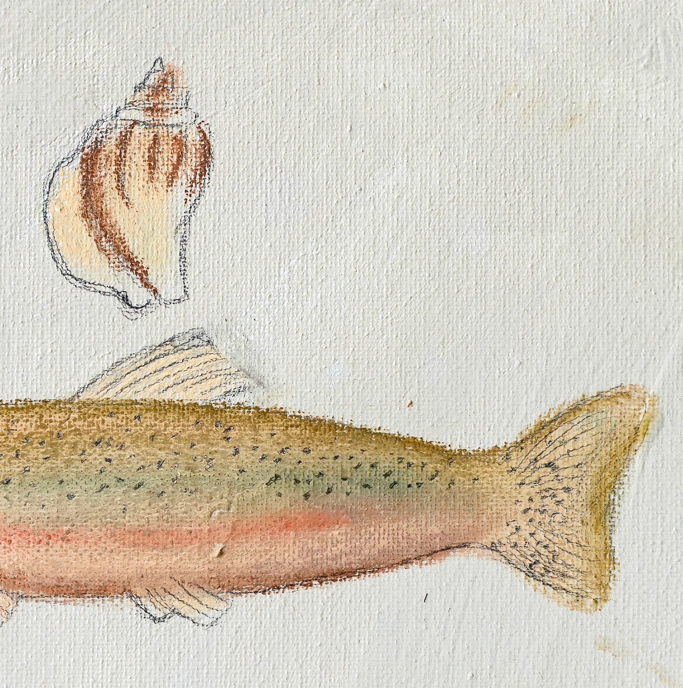 Rainbow Trout & Fossil Luxe Art Print