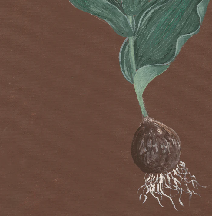 Pink Tulip Botanical Luxe Art Print