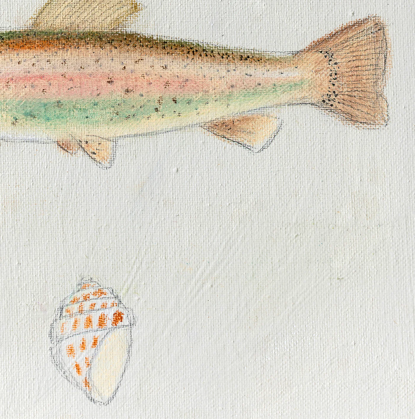 Rainbow Trout & Scallop Luxe Art Print