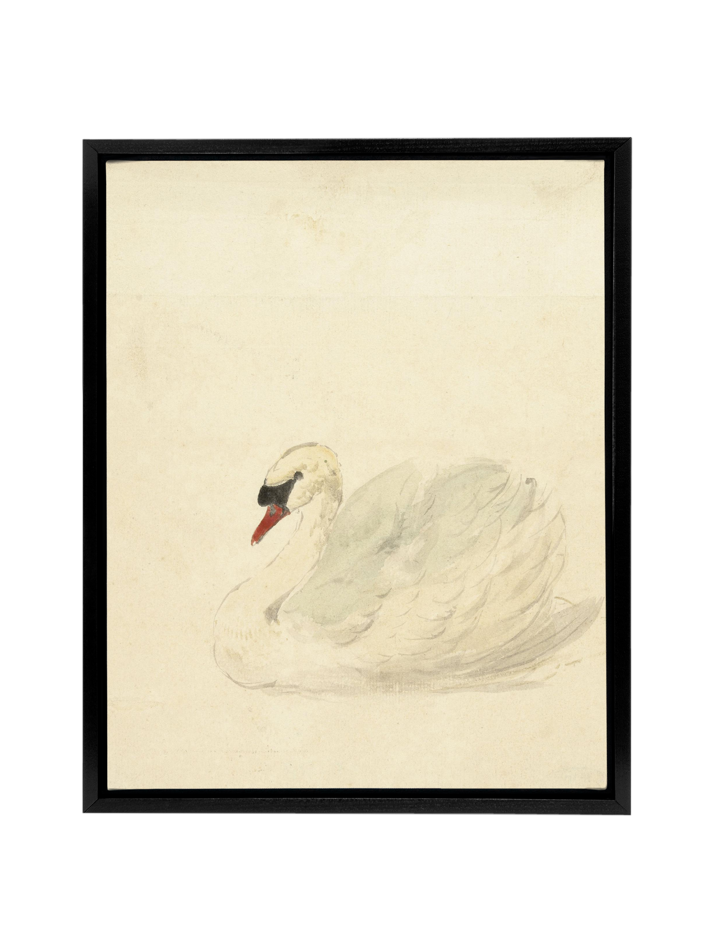 Ivory Swan | Canvas