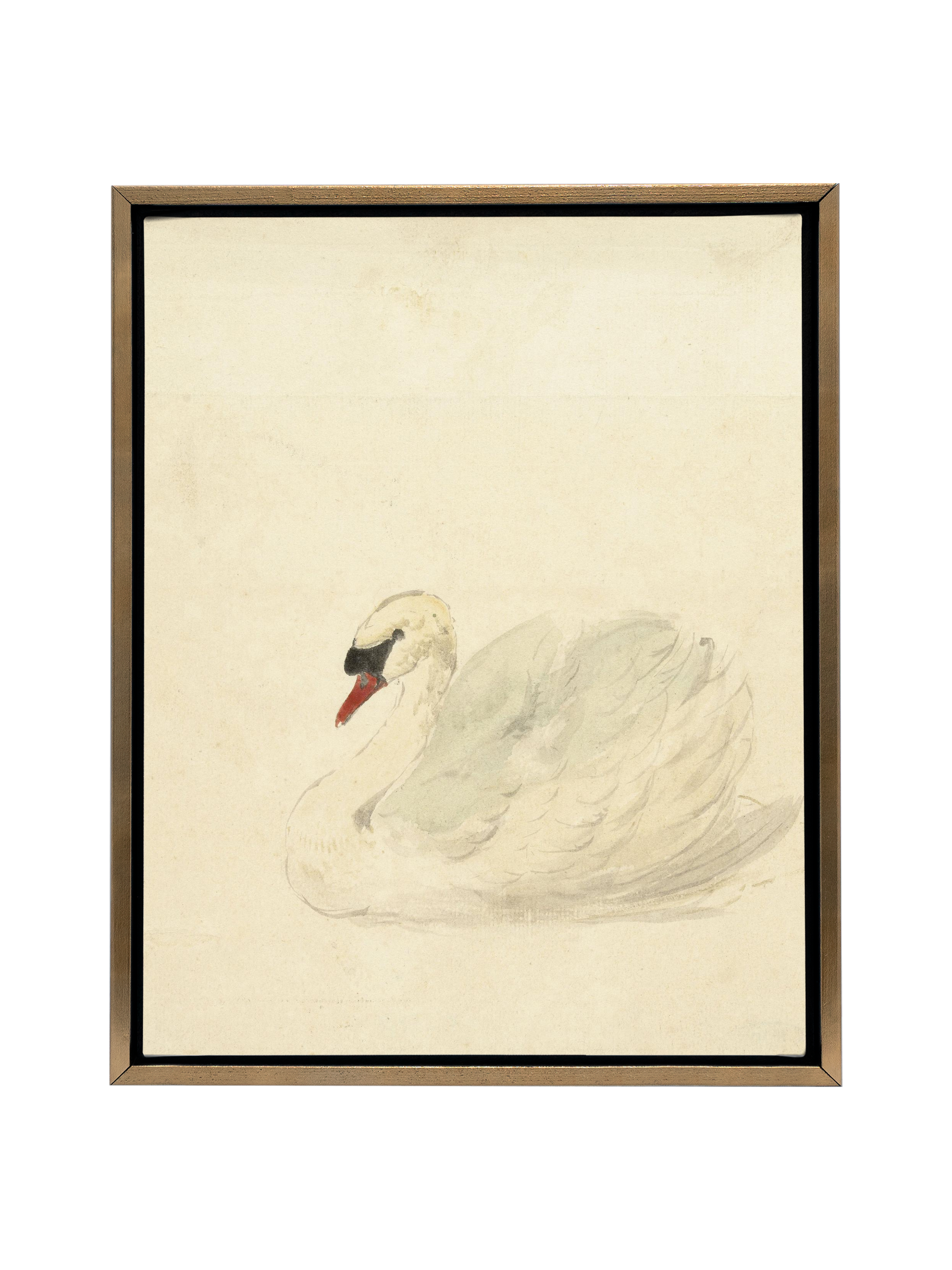 Ivory Swan | Canvas