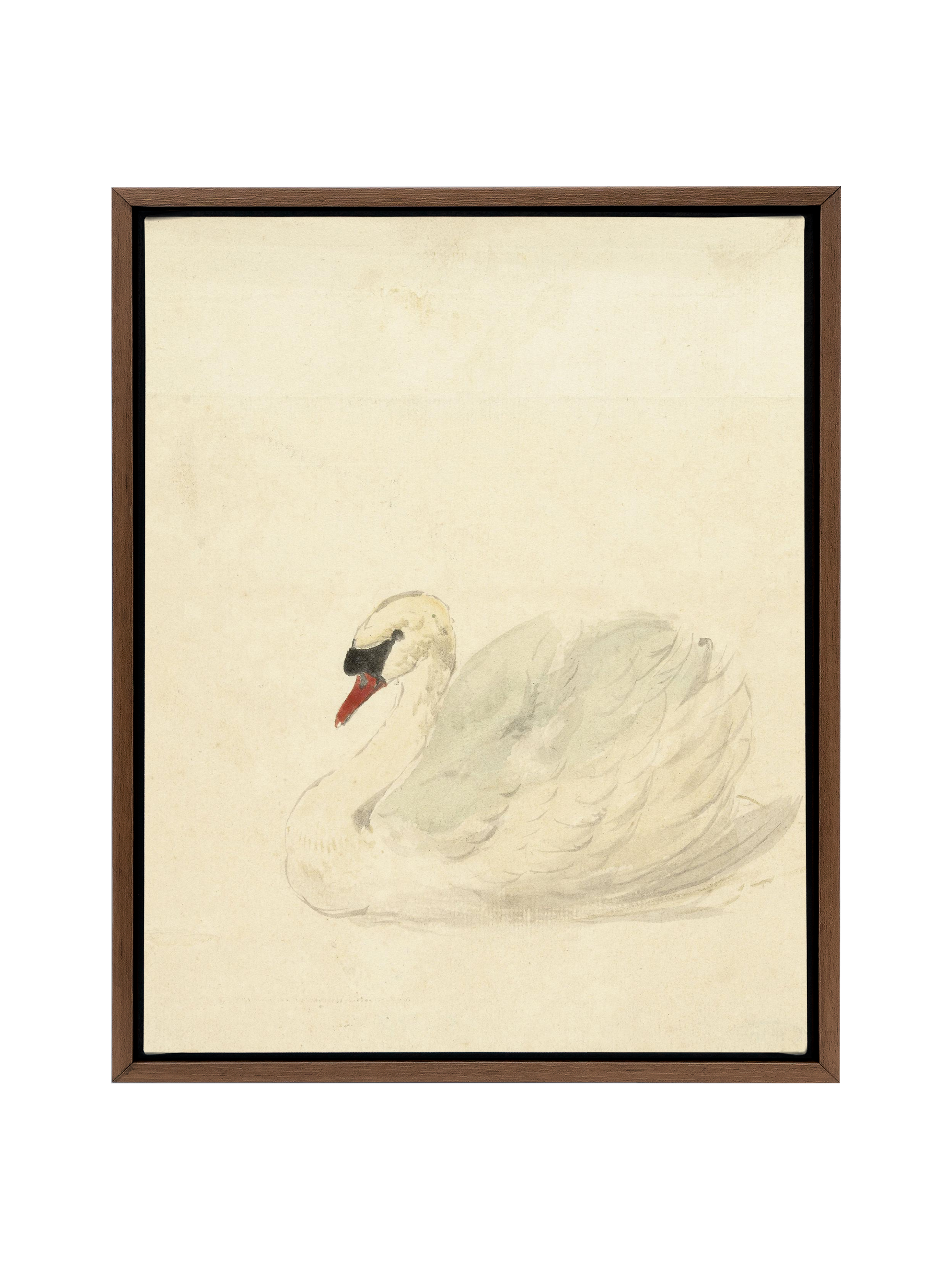 Ivory Swan | Canvas