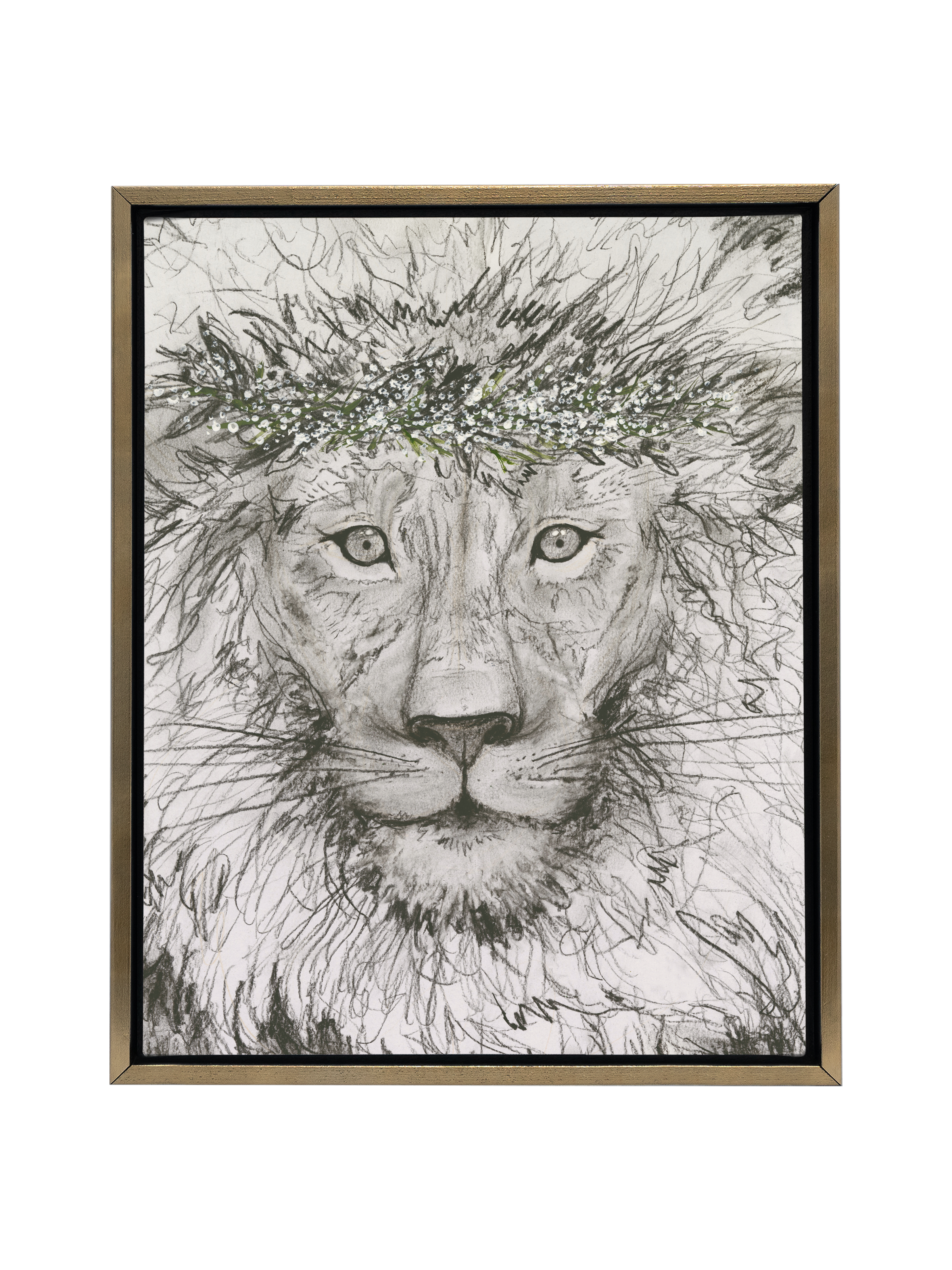 Aslan | Canvas