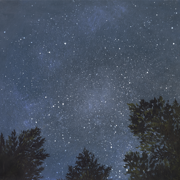 Looking Up at the Night Sky Canvas Wall Art