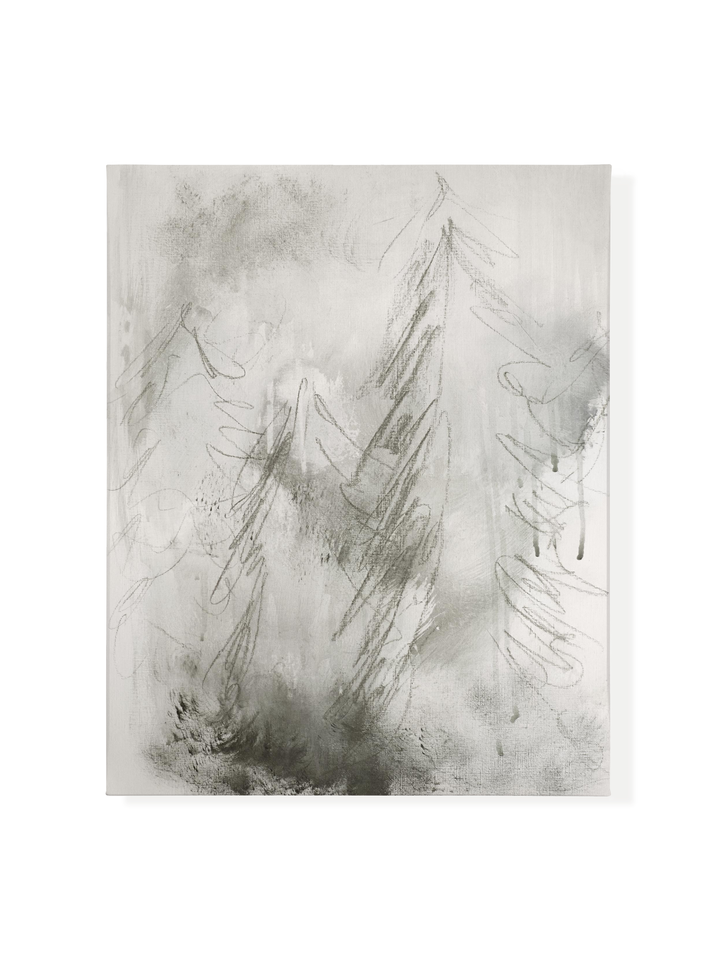 Misty Pines | Canvas
