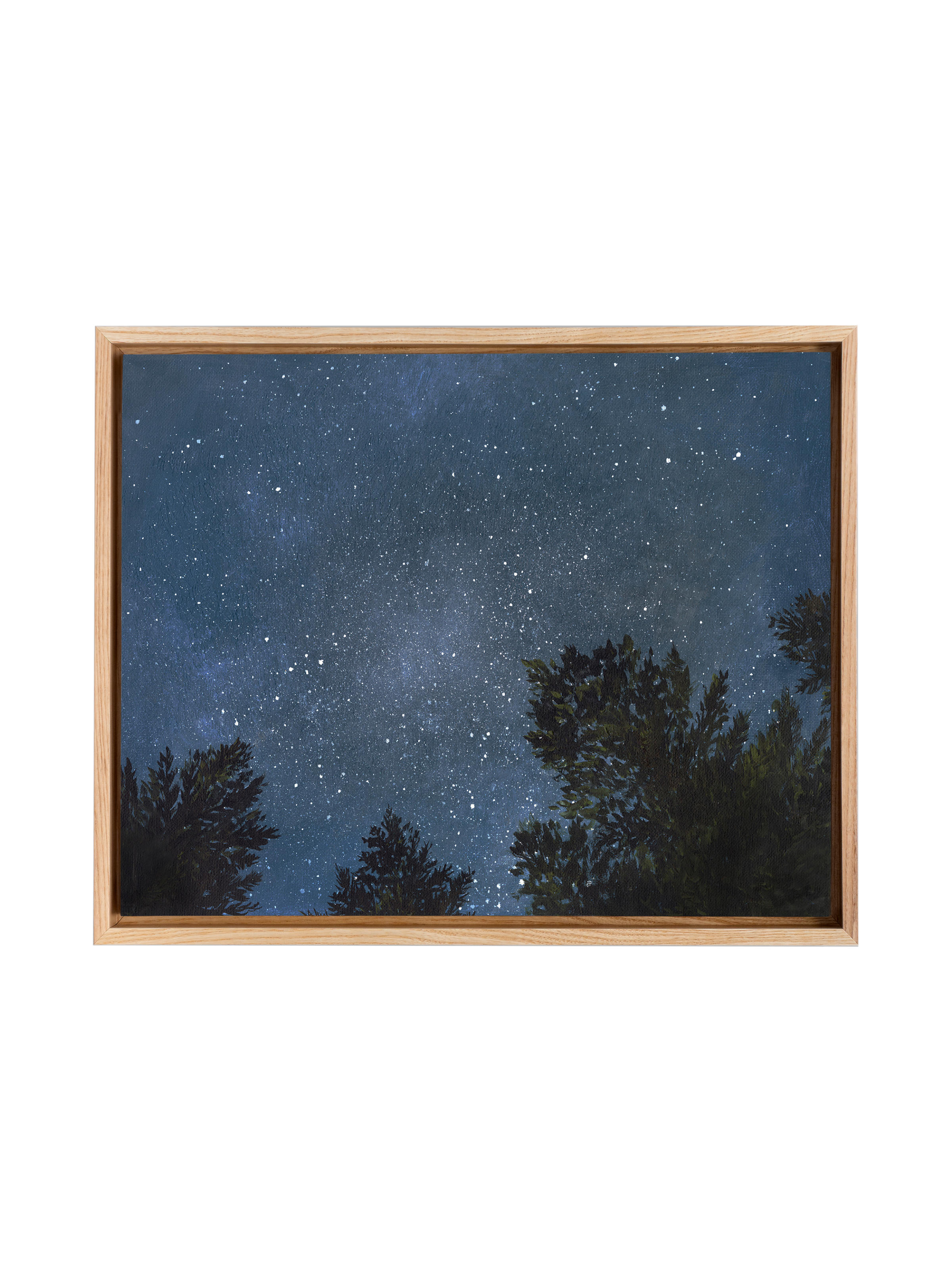 Looking Up at the Night Sky | Canvas