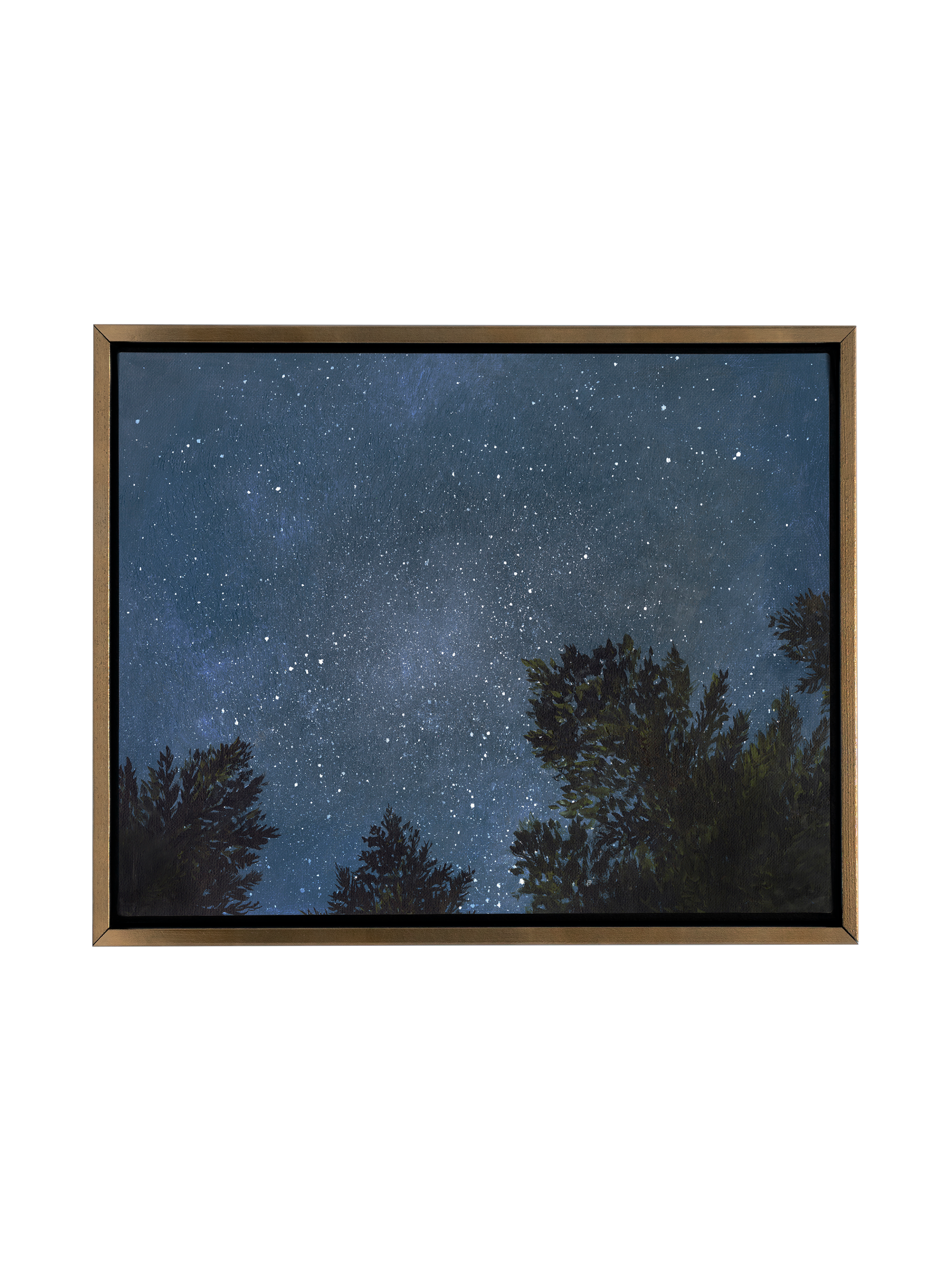 Looking Up at the Night Sky | Canvas
