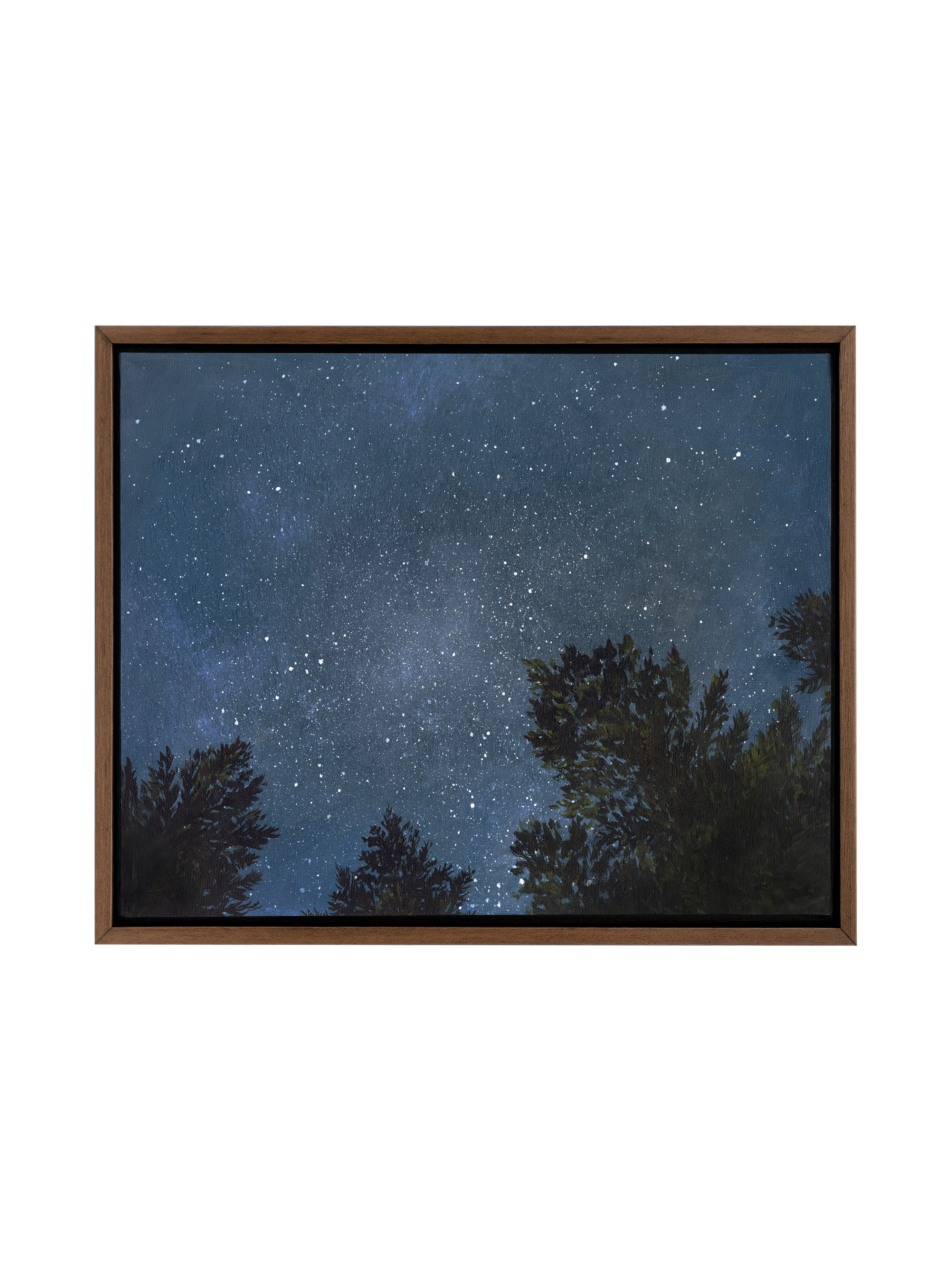 Looking Up at the Night Sky | Canvas