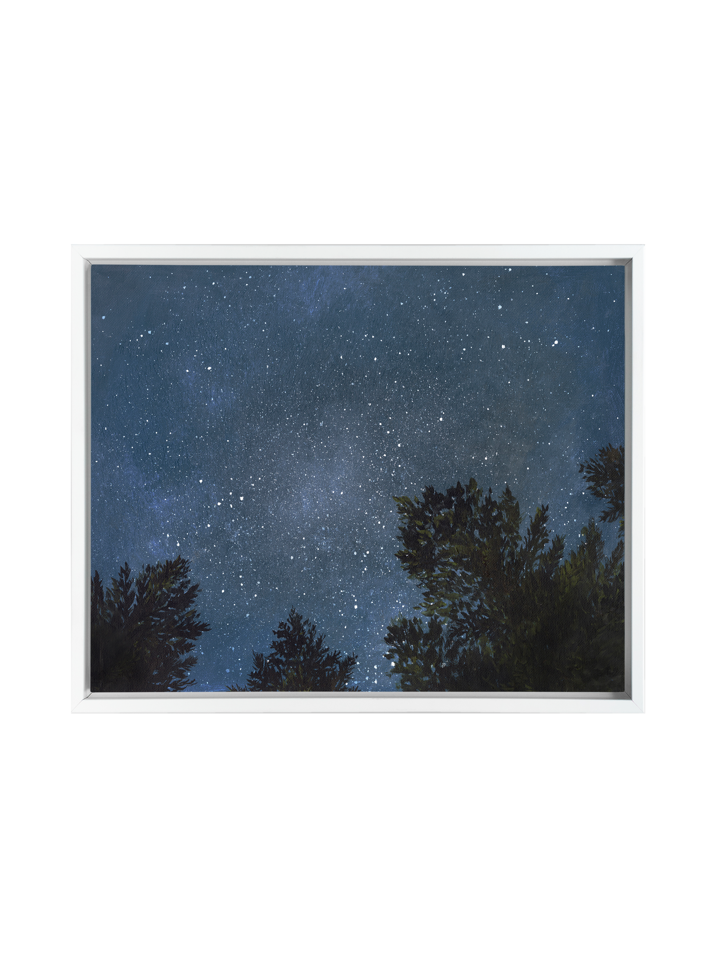 Looking Up at the Night Sky | Canvas