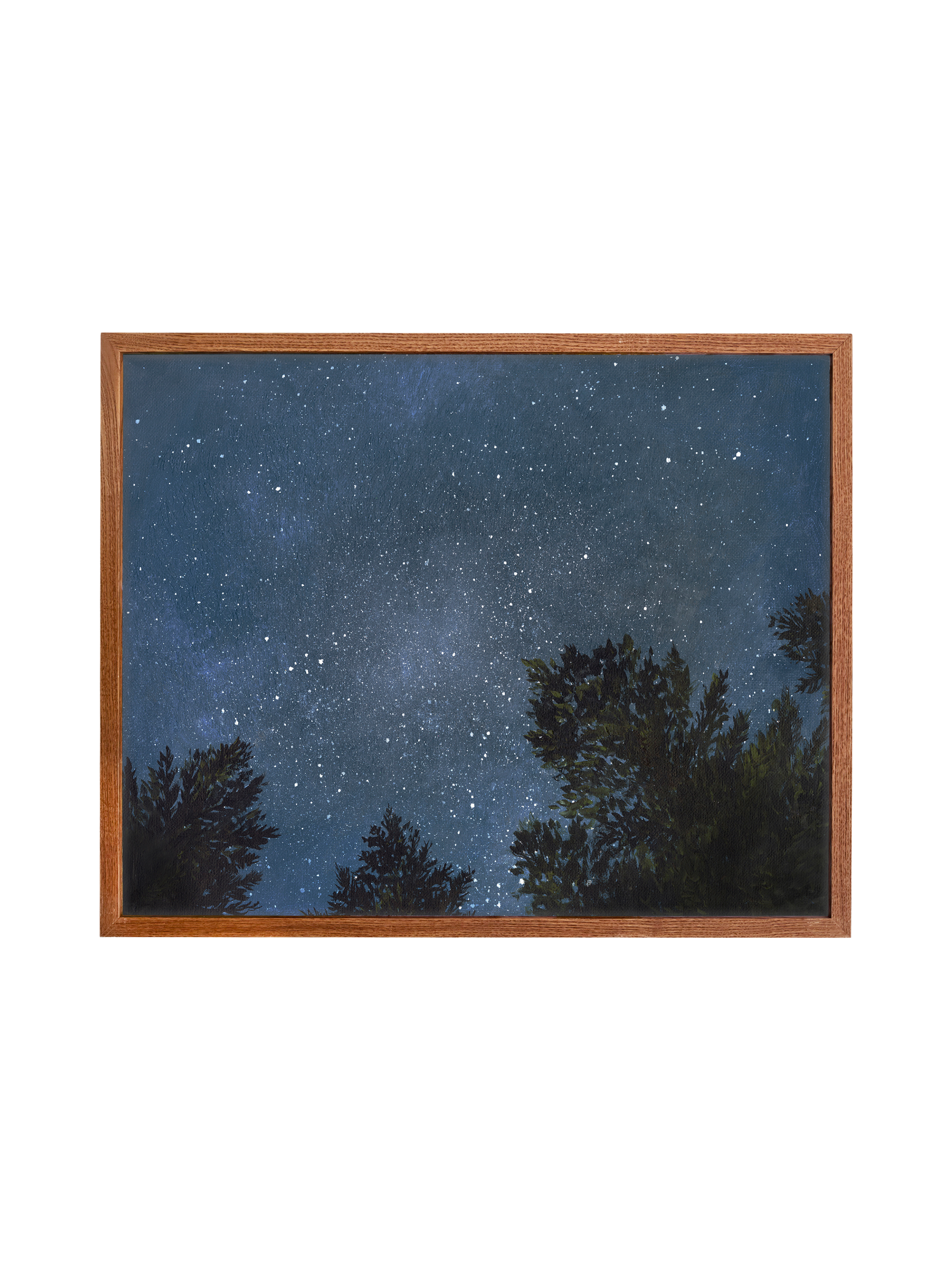 Looking Up at the Night Sky | Canvas
