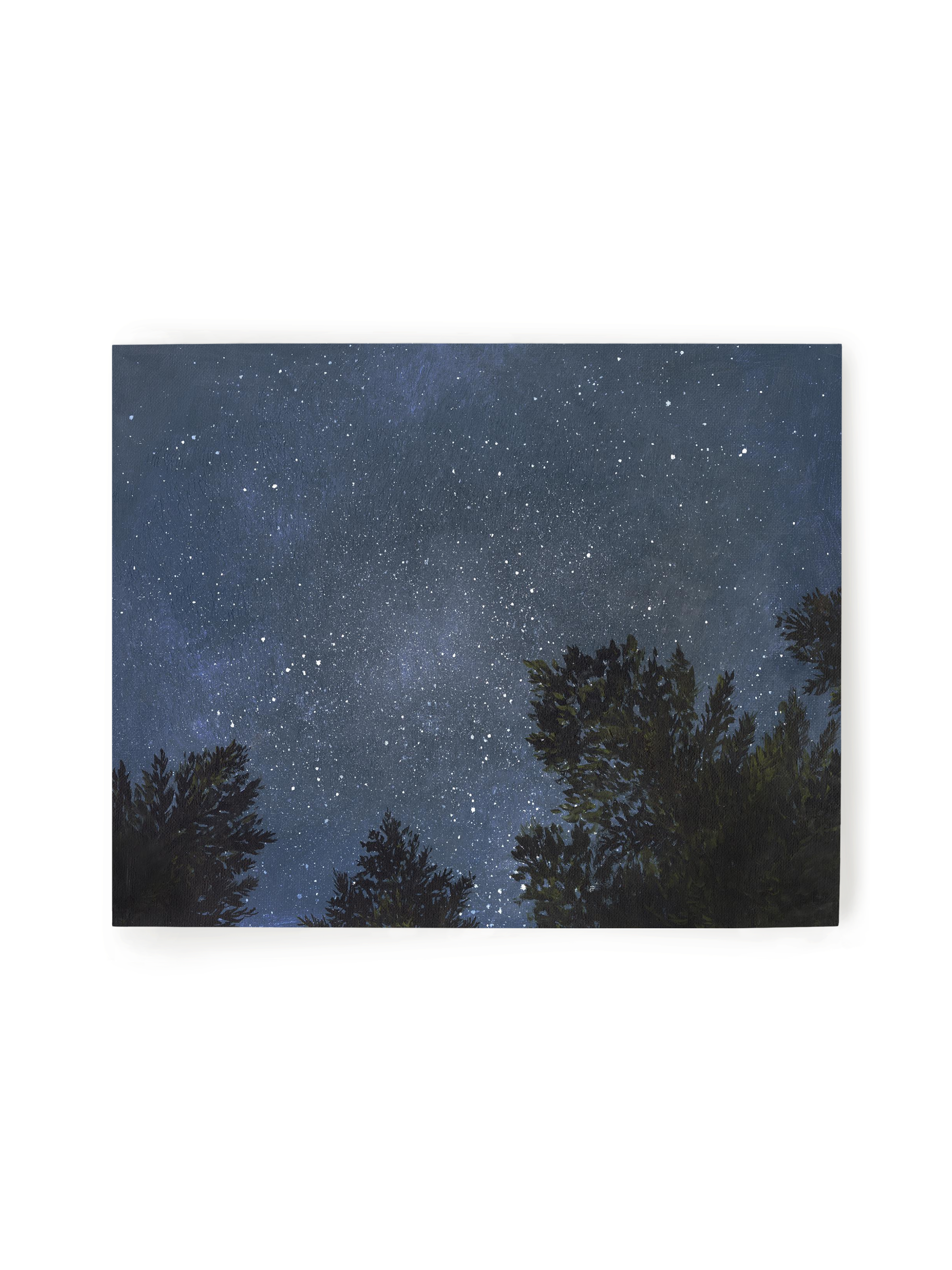 Looking Up at the Night Sky | Art Print