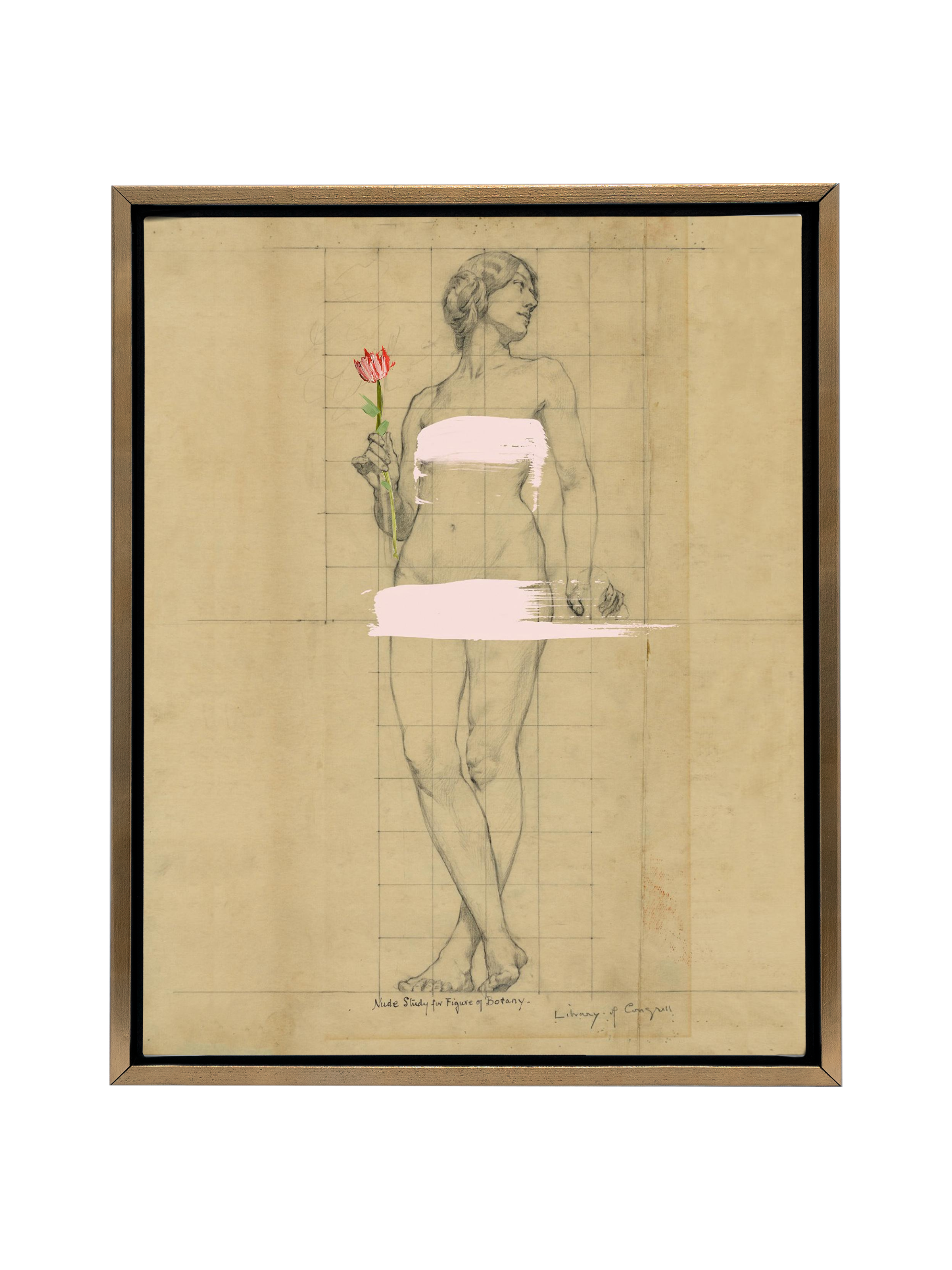 Painted Lady | Canvas