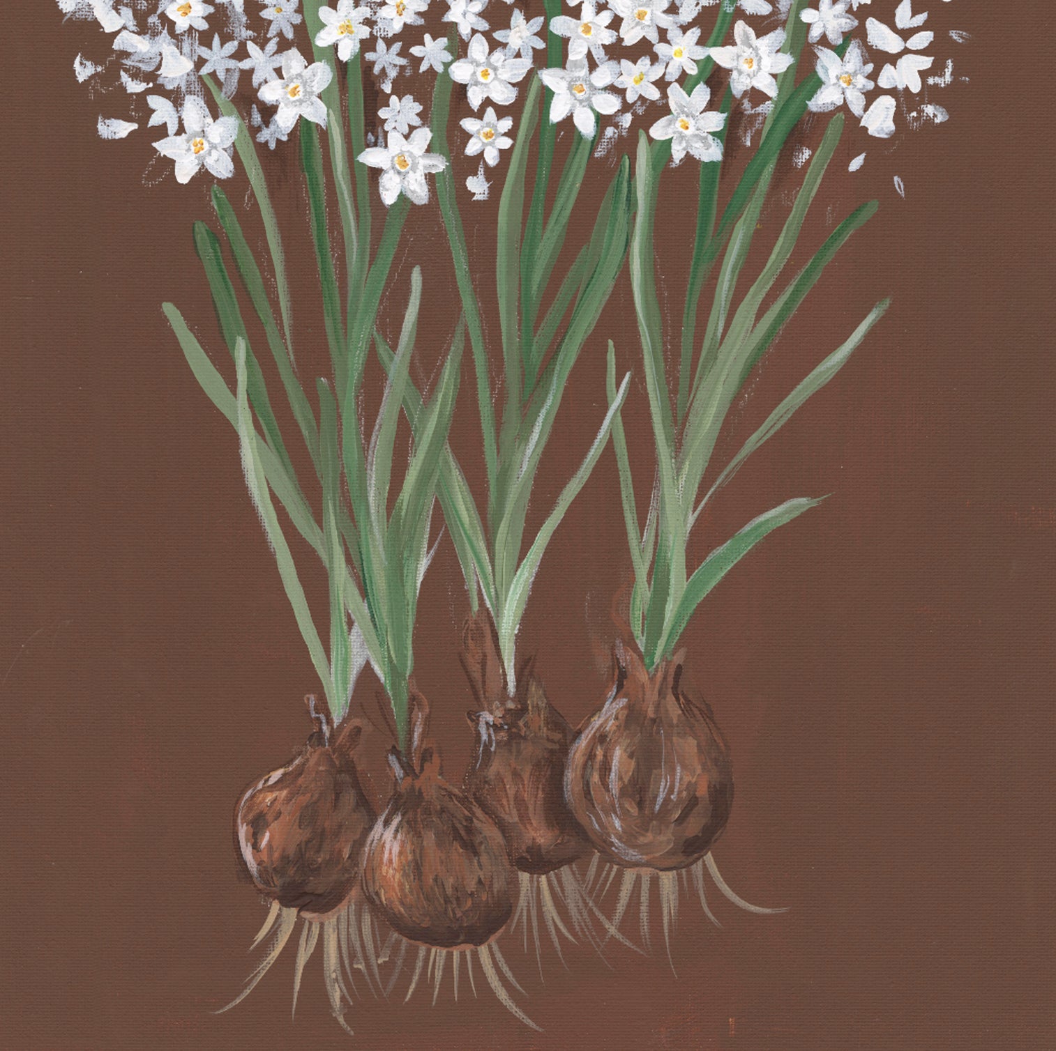 Paperwhite Botanical Canvas Wall Art