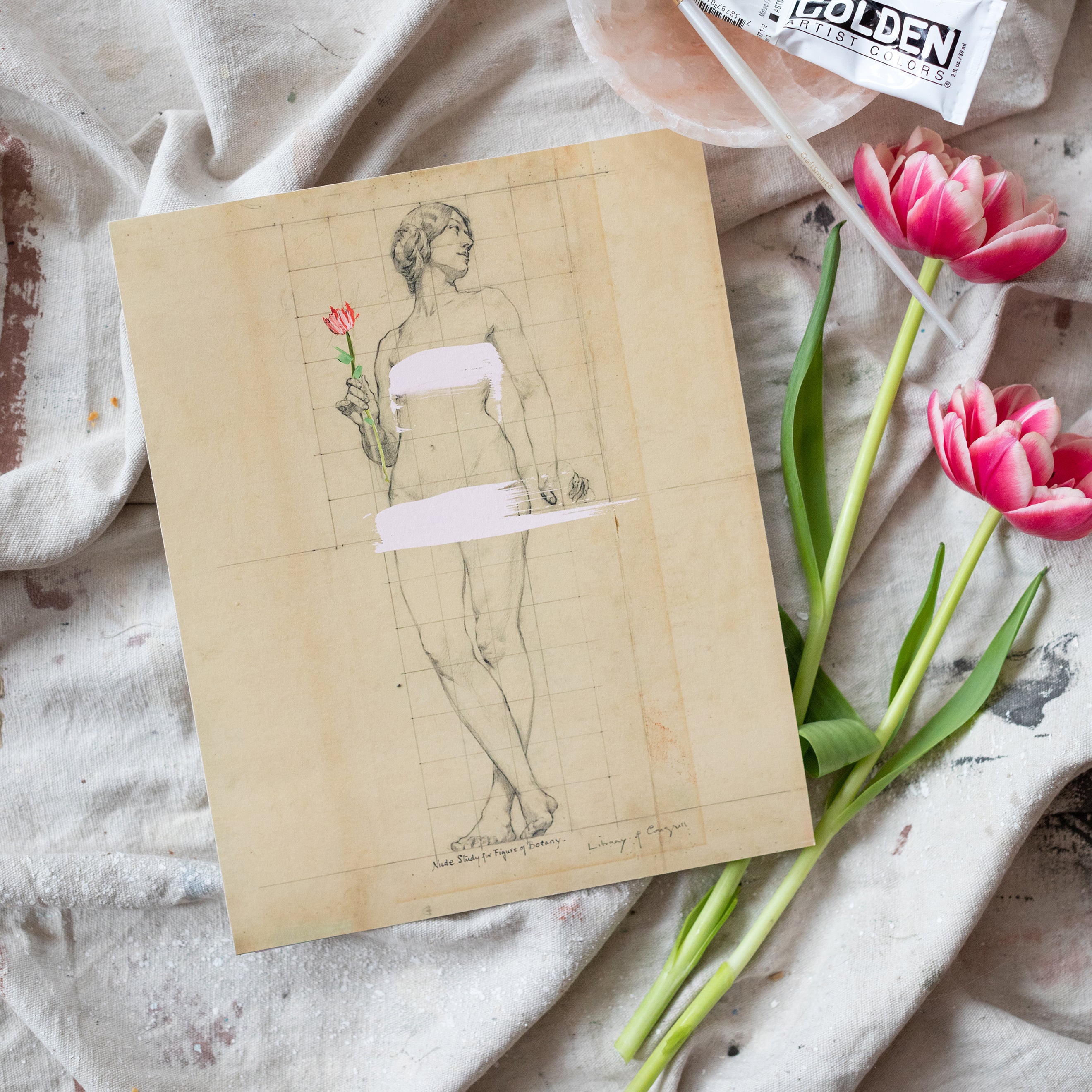 Painted Lady Canvas Wall Art