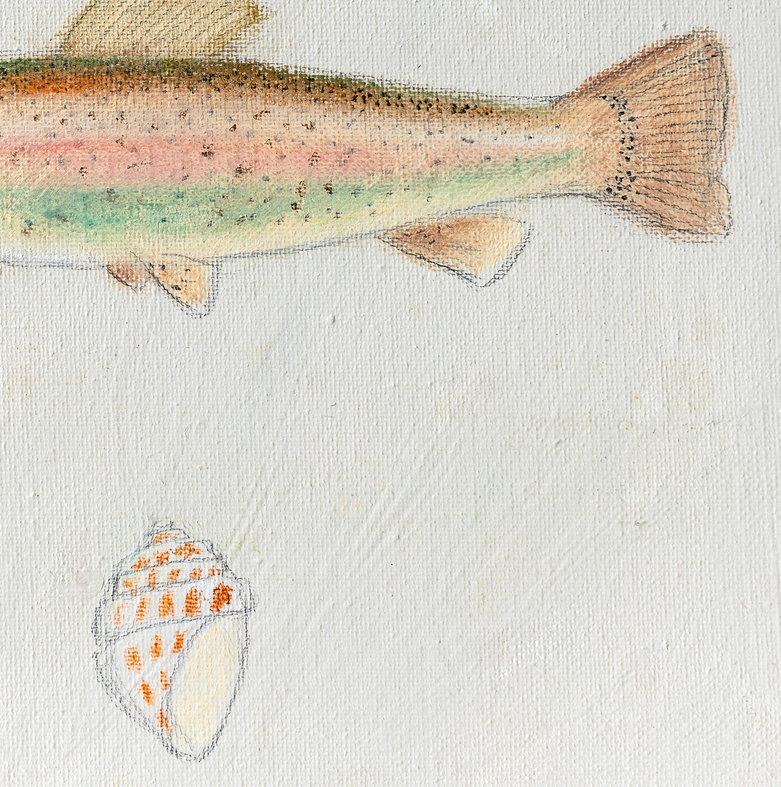 Rainbow Trout & Scallop Shell Mini Canvas Wall Art