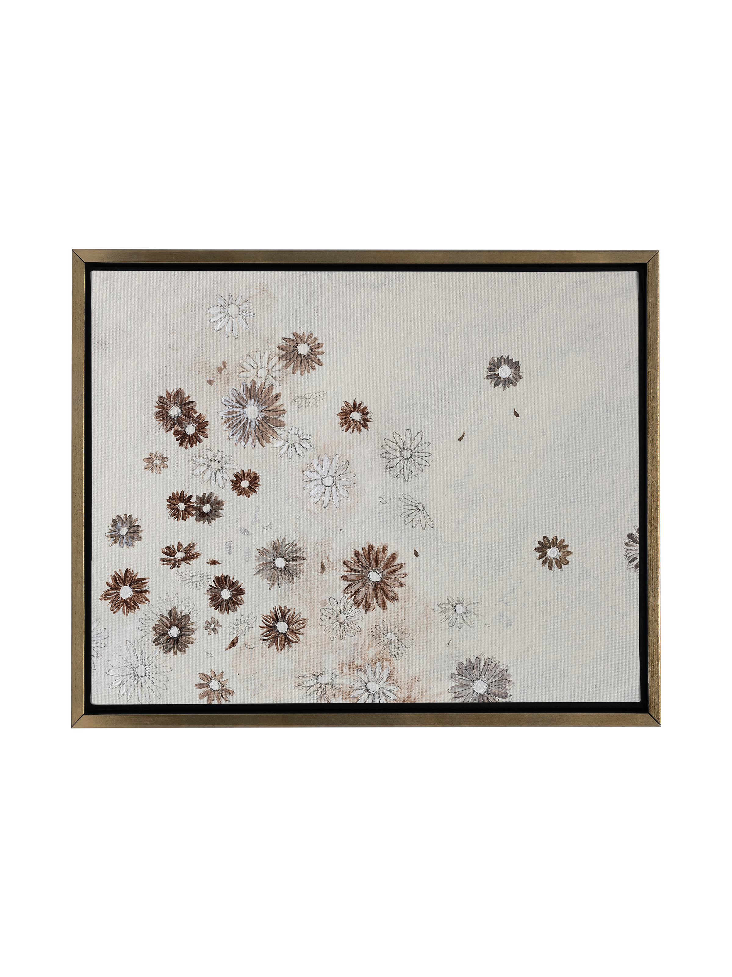 Scattered Sepia Daisies | Canvas
