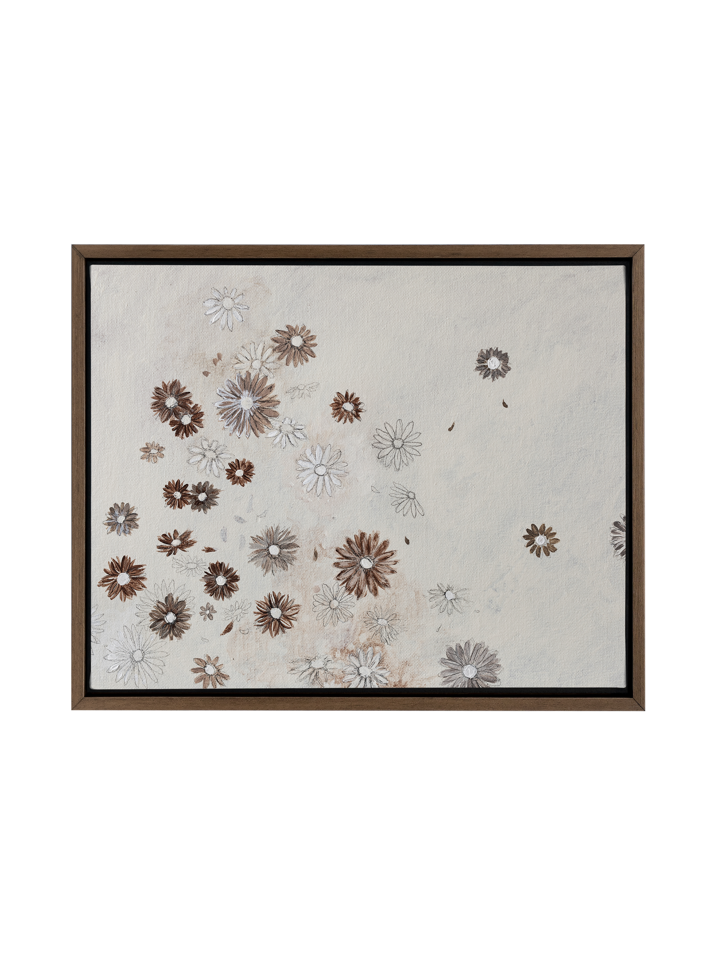 Scattered Sepia Daisies | Canvas