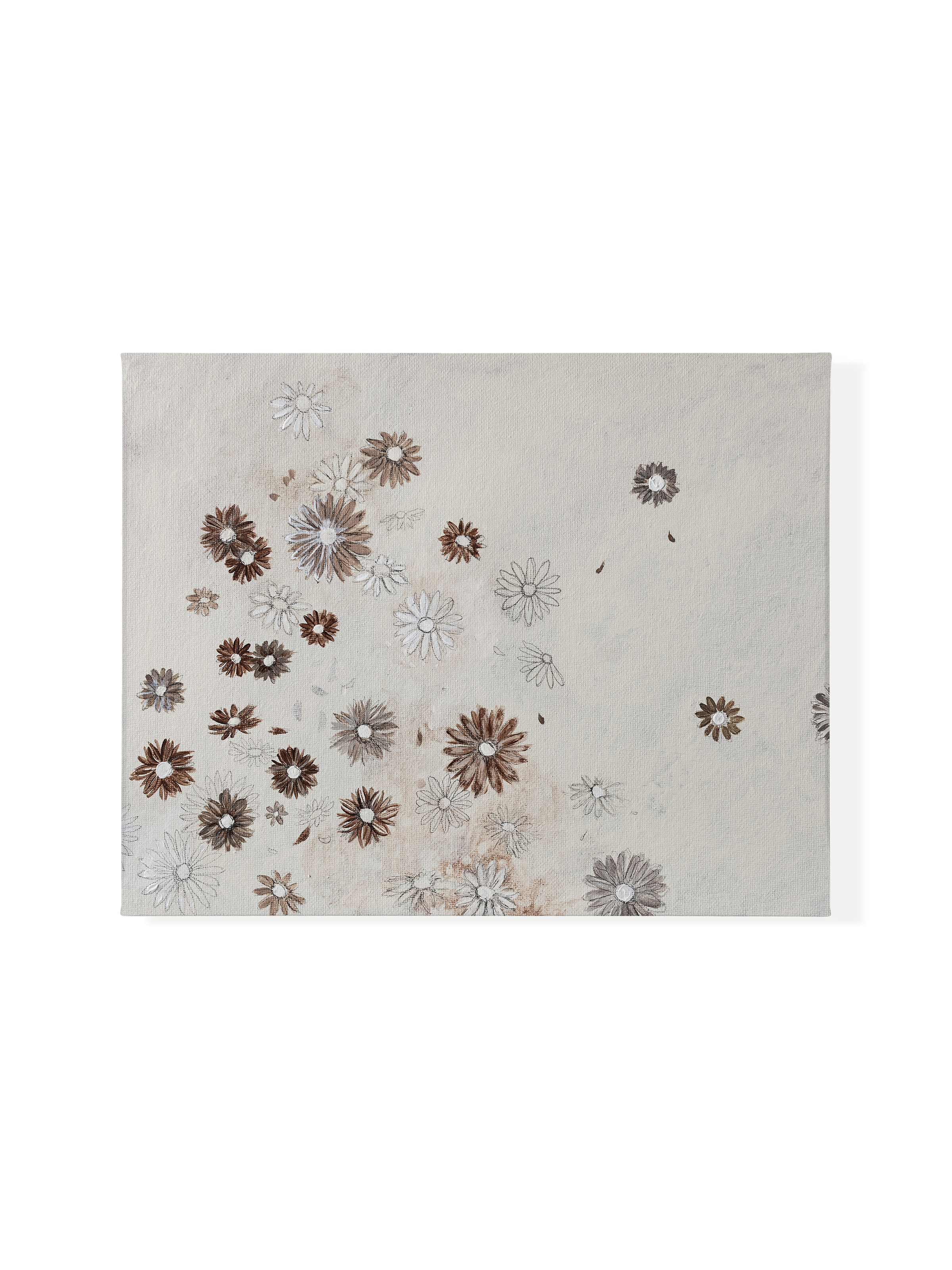 Scattered Sepia Daisies | Canvas