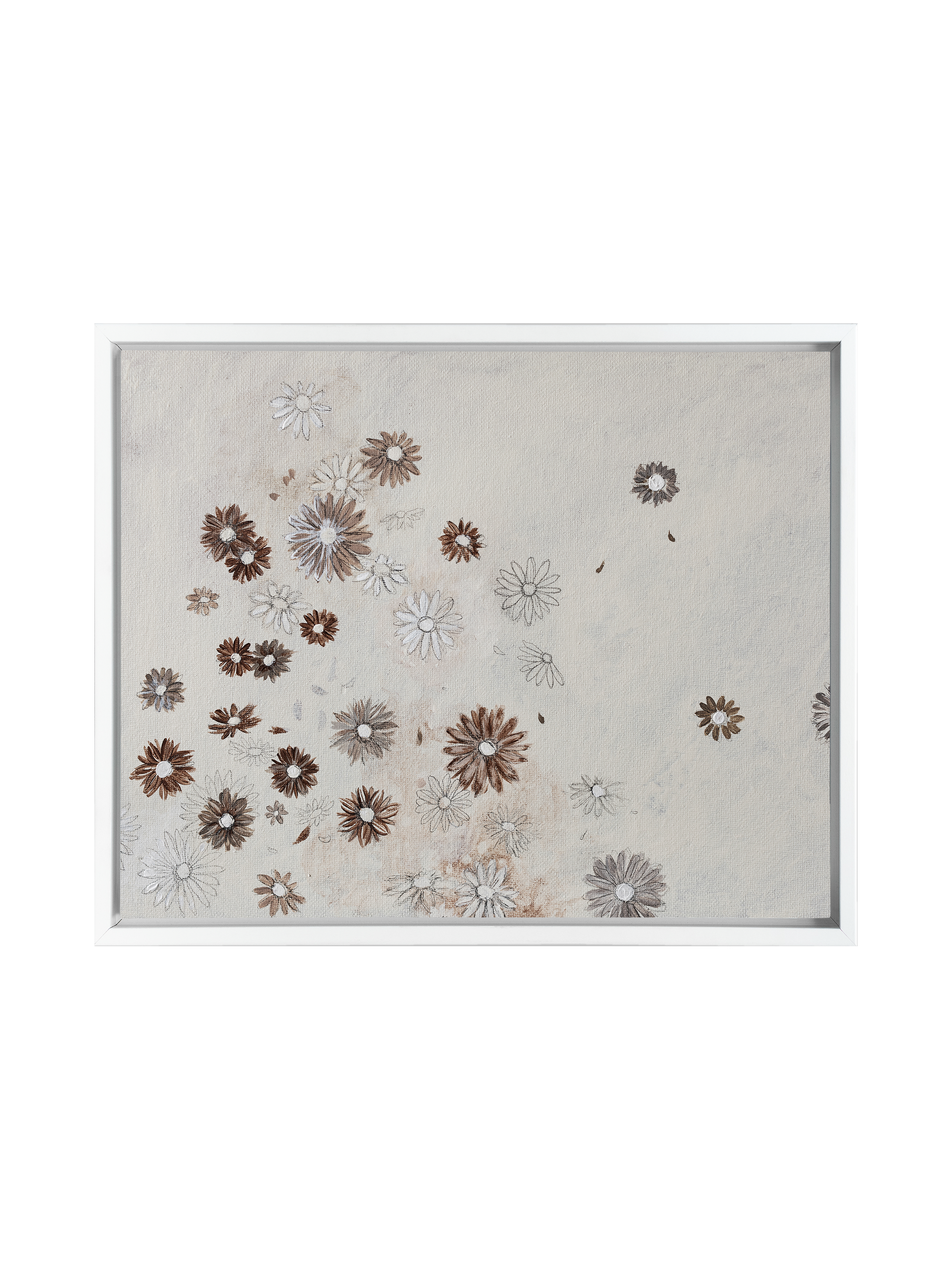 Scattered Sepia Daisies | Canvas