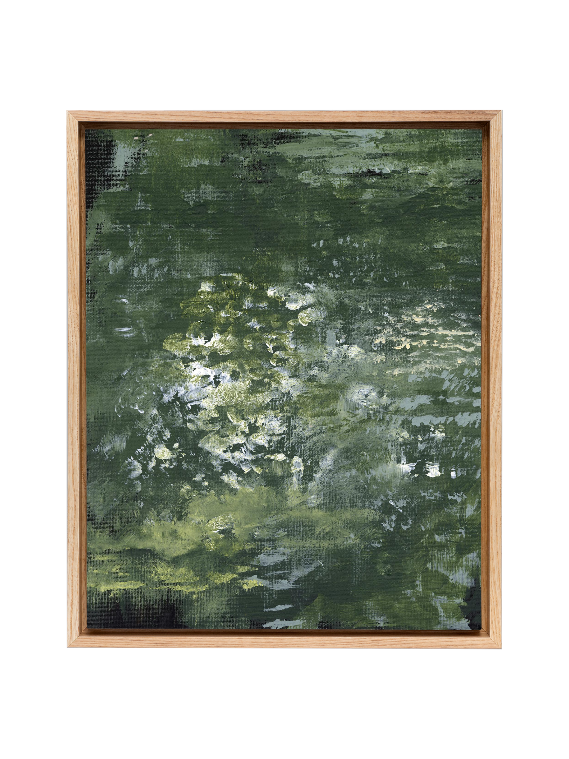 Snake Plant | Canvas