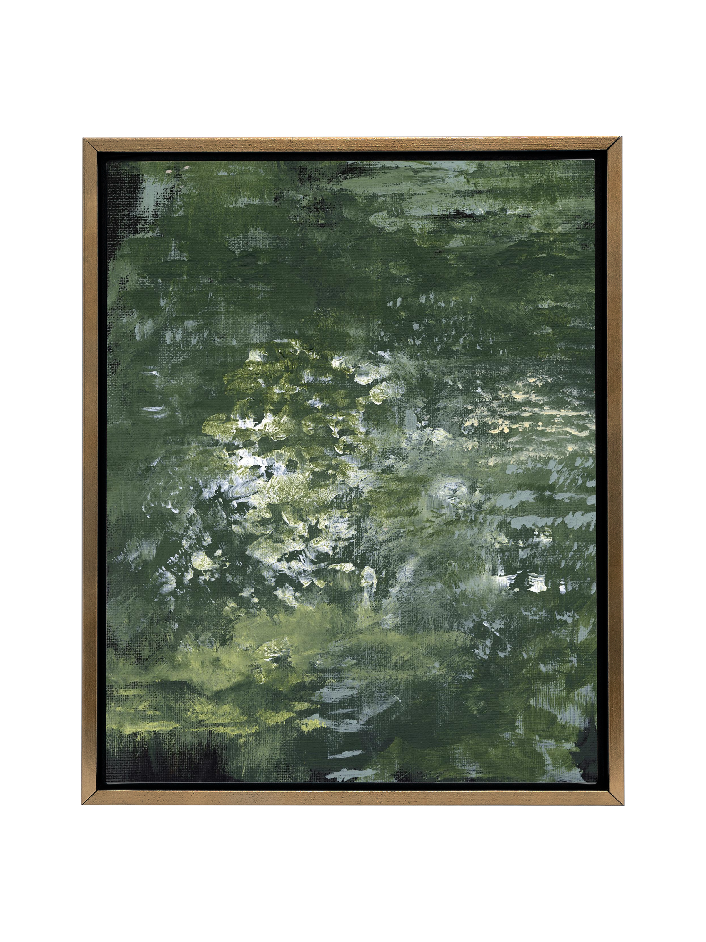 Snake Plant | Canvas