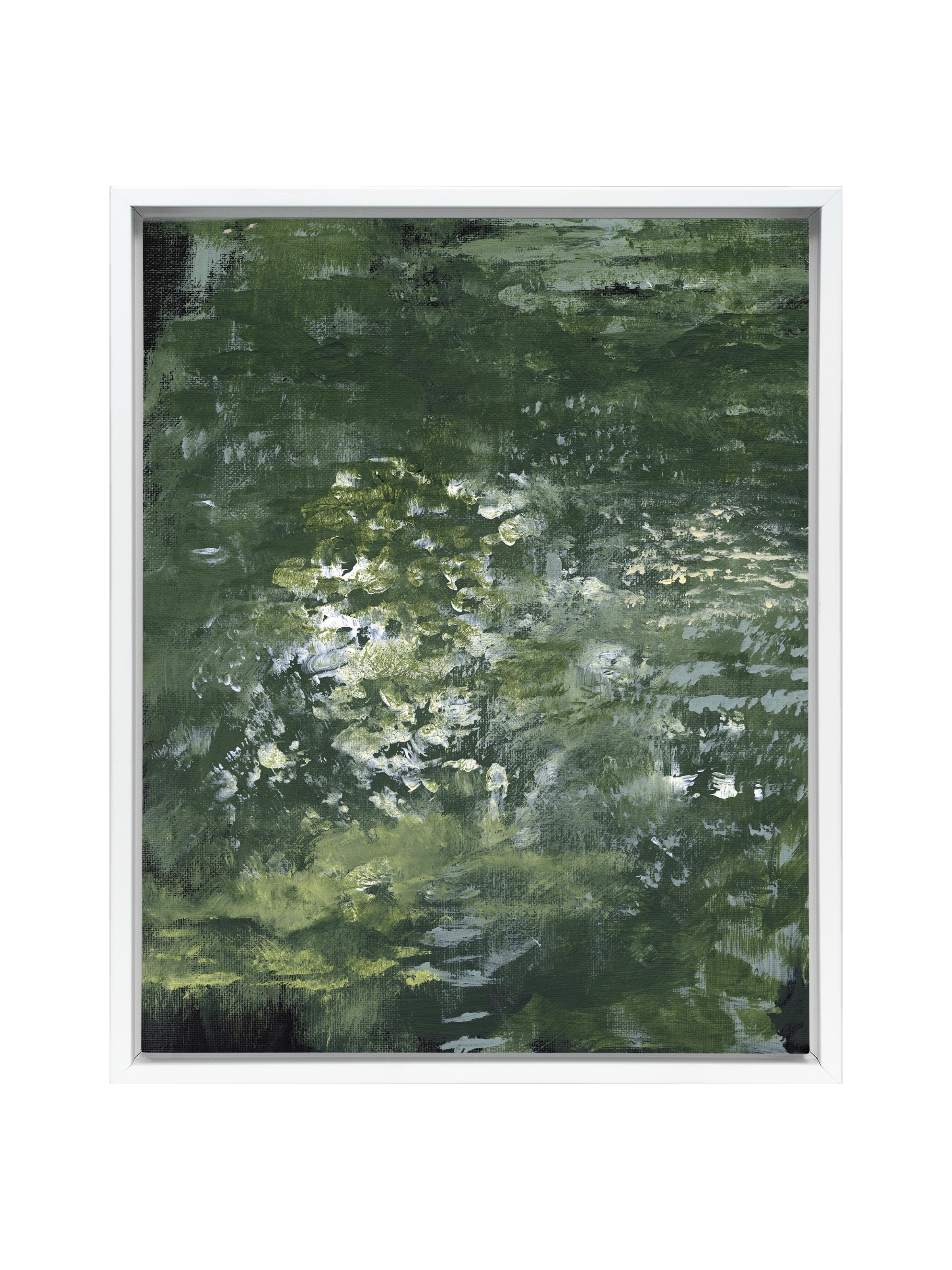 Snake Plant | Canvas