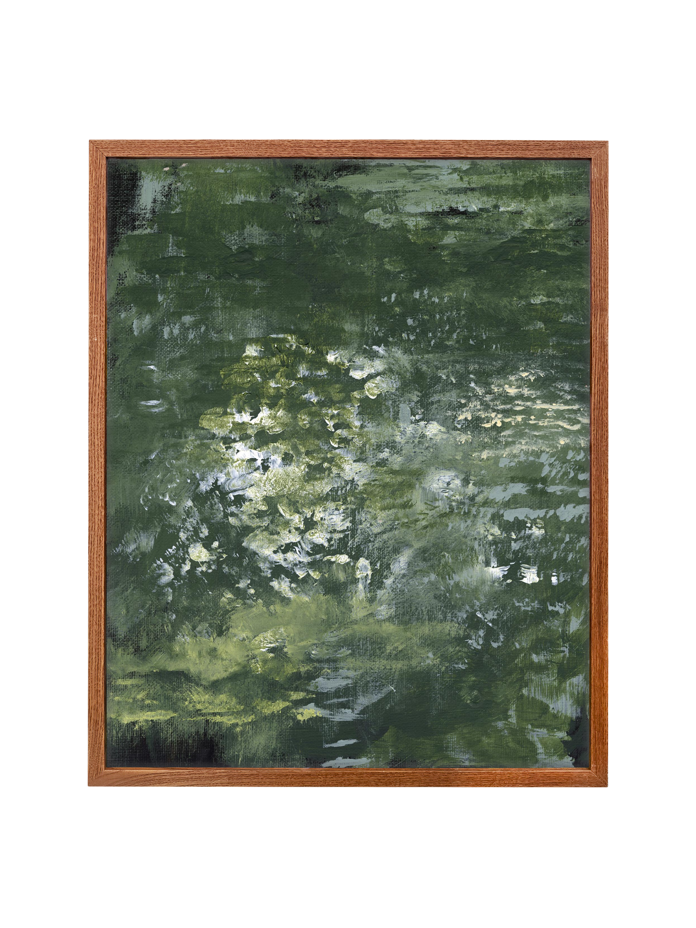 Snake Plant | Canvas