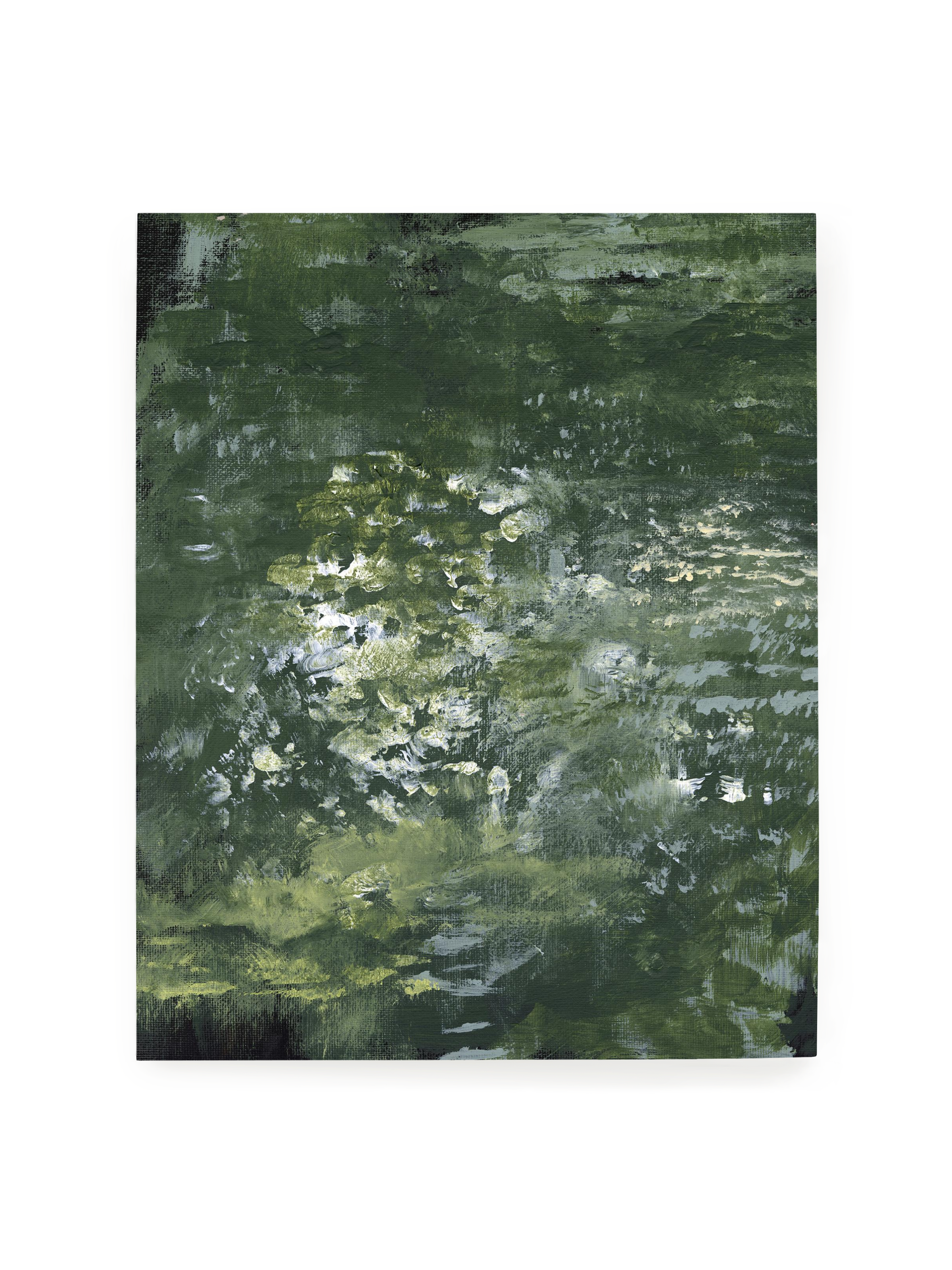 Snake Plant | Art Print