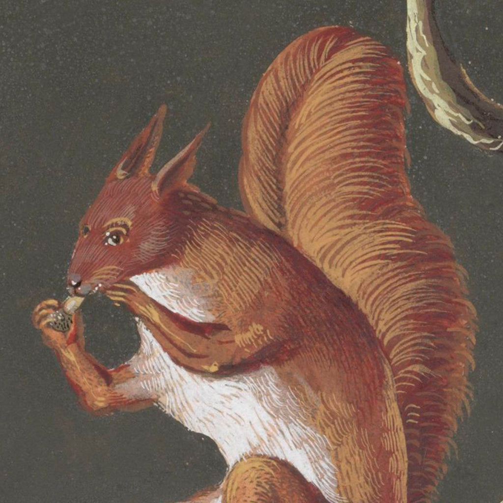 Vintage Squirrel Luxe Art Print